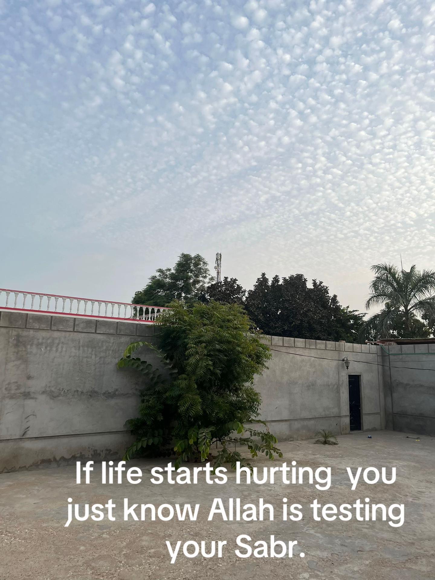 @☾⋆