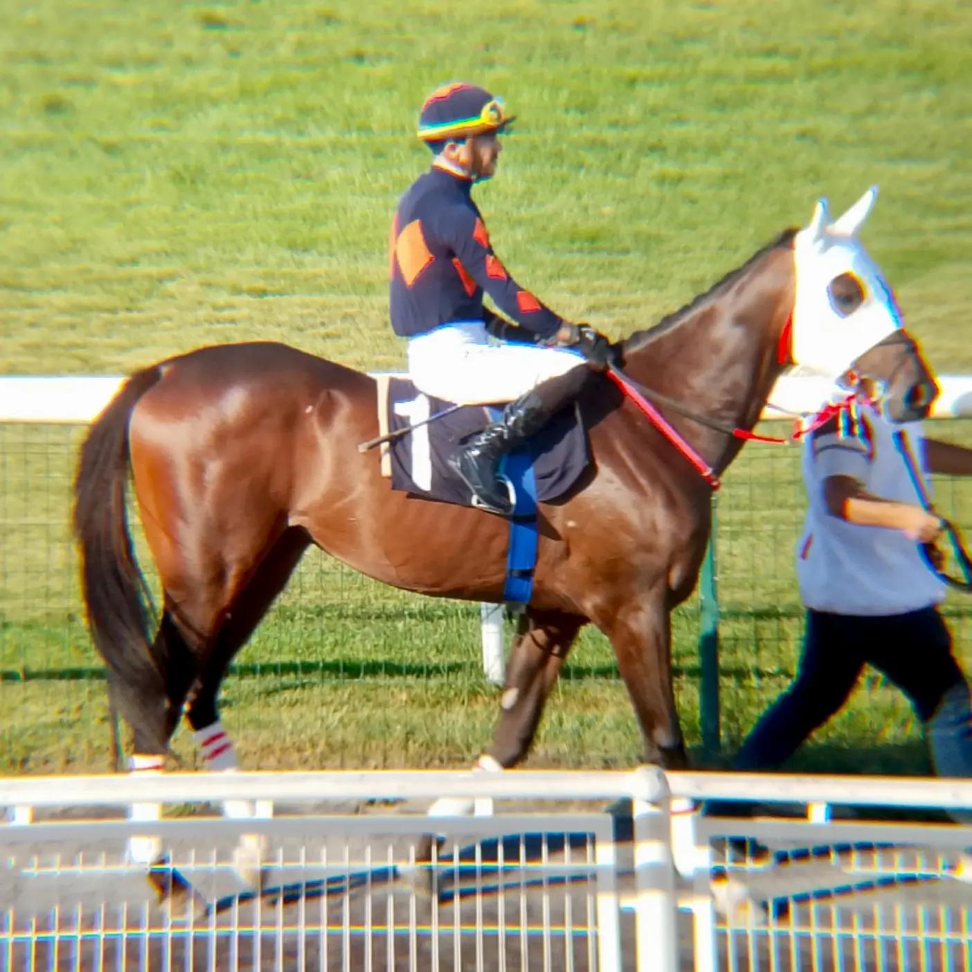 @brs horse racing