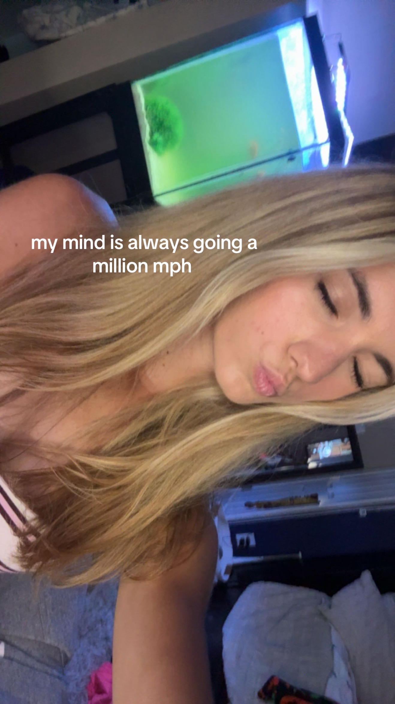 @duck.inabox