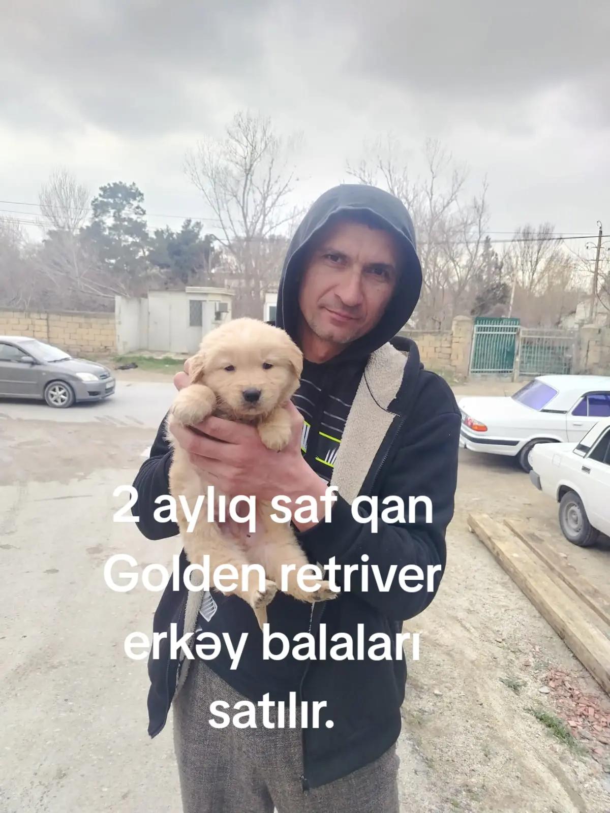 @Həsən Bünyadzadə.