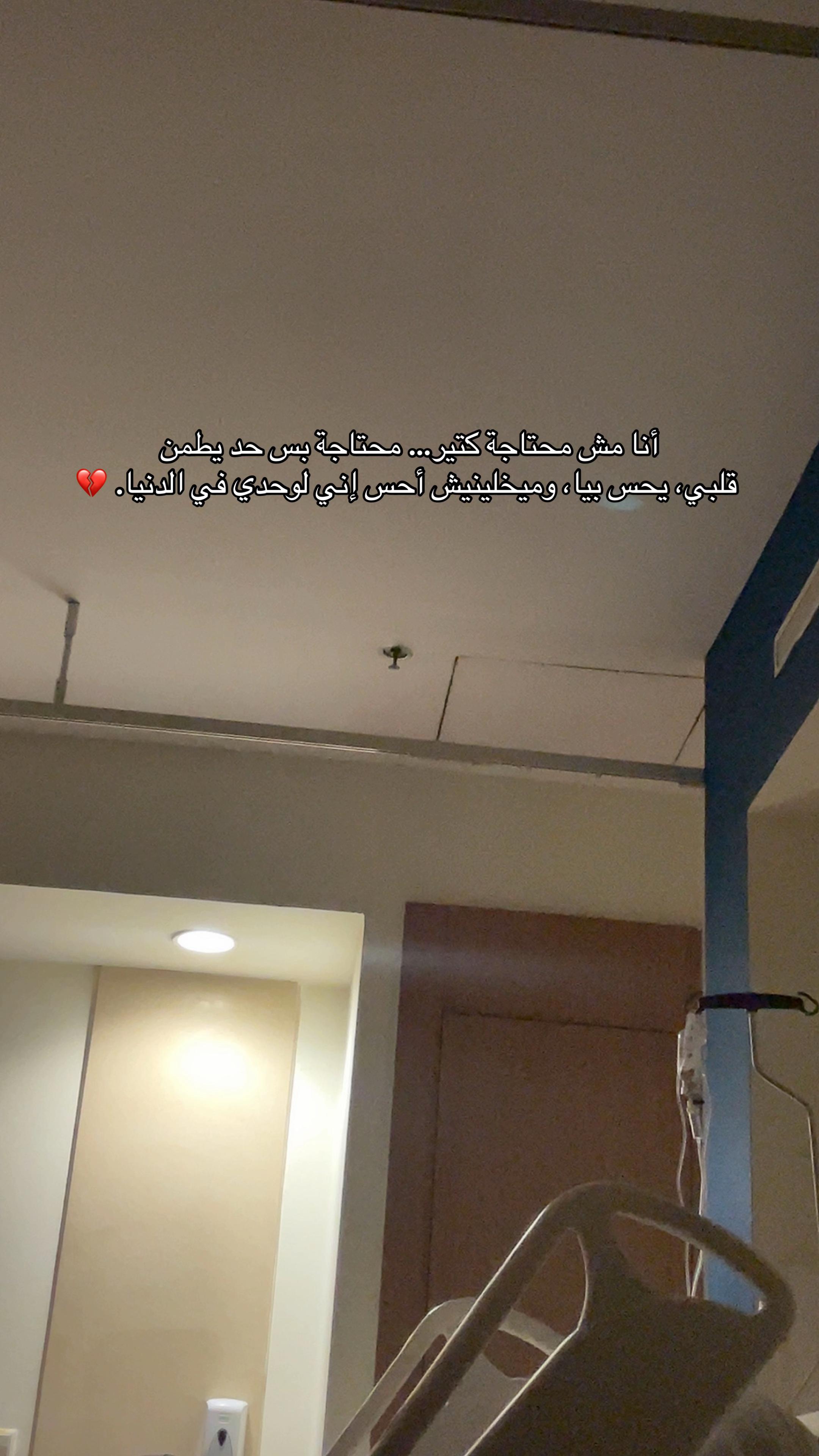 @Dina saeed🩵