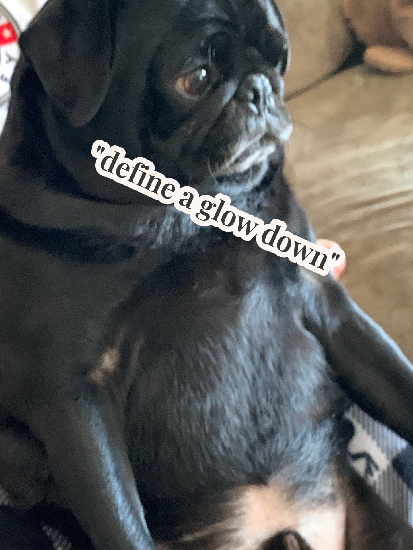 @olliebob