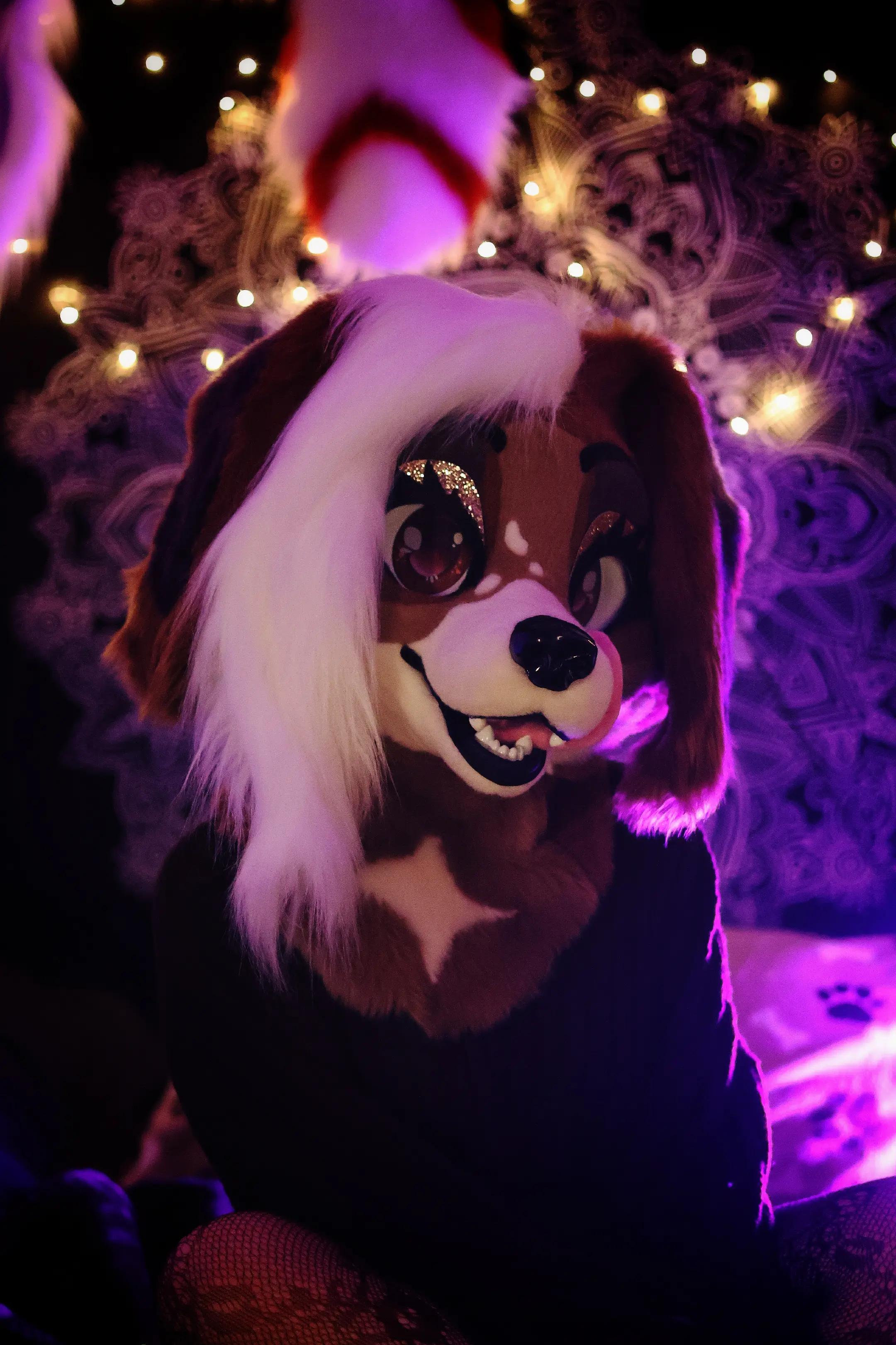 @Bailey (lilpixiekitten)