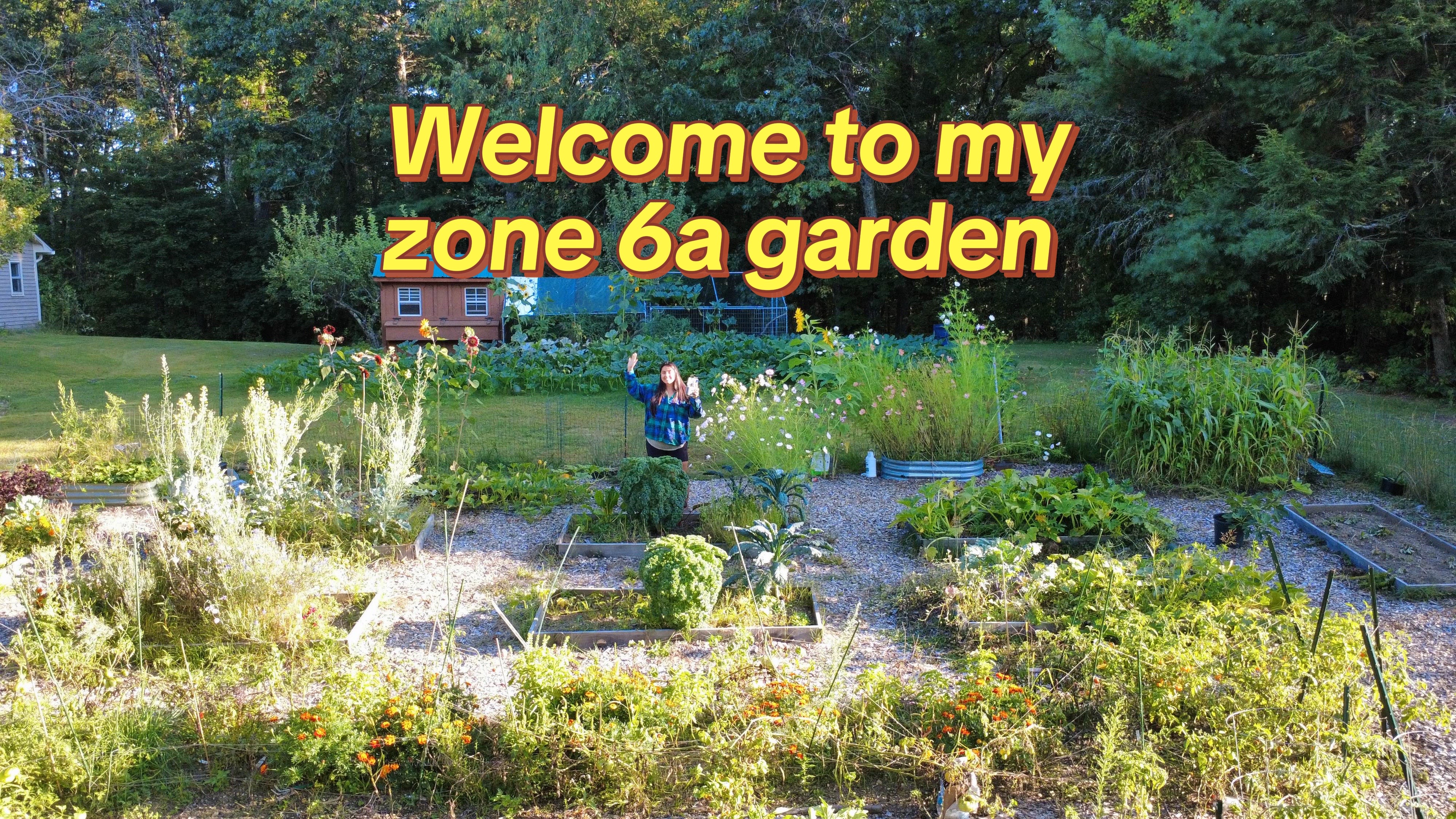 @Manica | zone 6a gardener