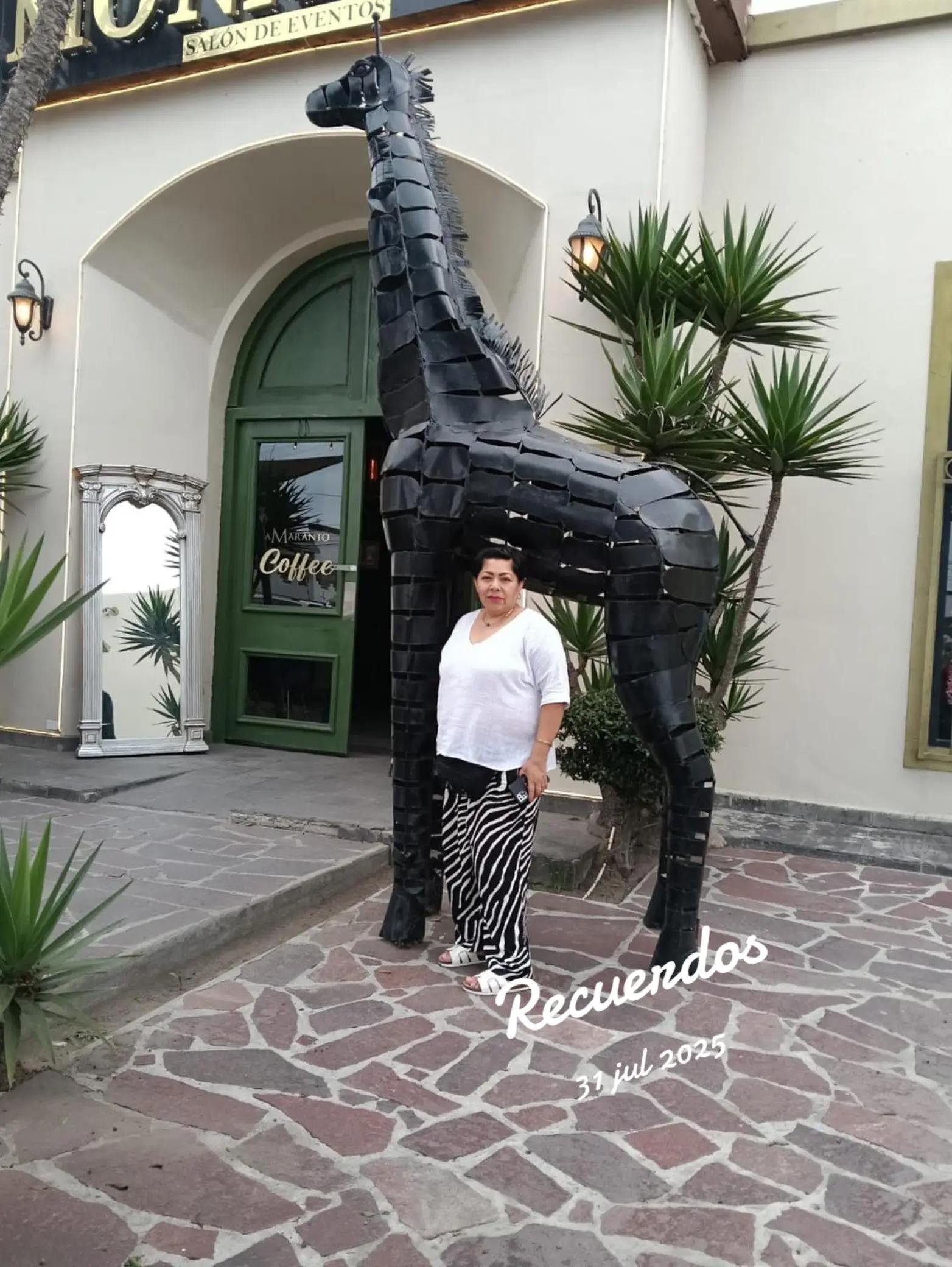 @pia Tobón 🎼🎵💃🕺