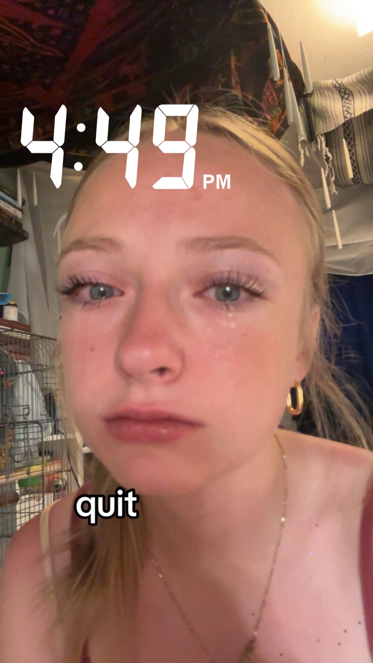 @dani