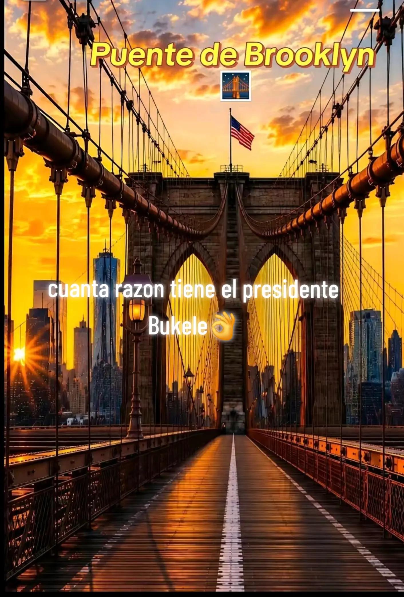 @🌻Alejandra504🇭🇳🌻
