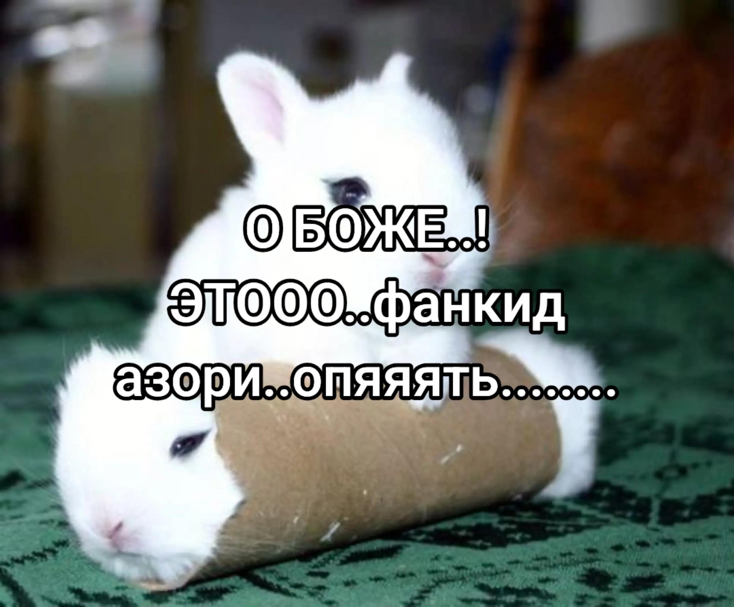 @чокопао 🍅
