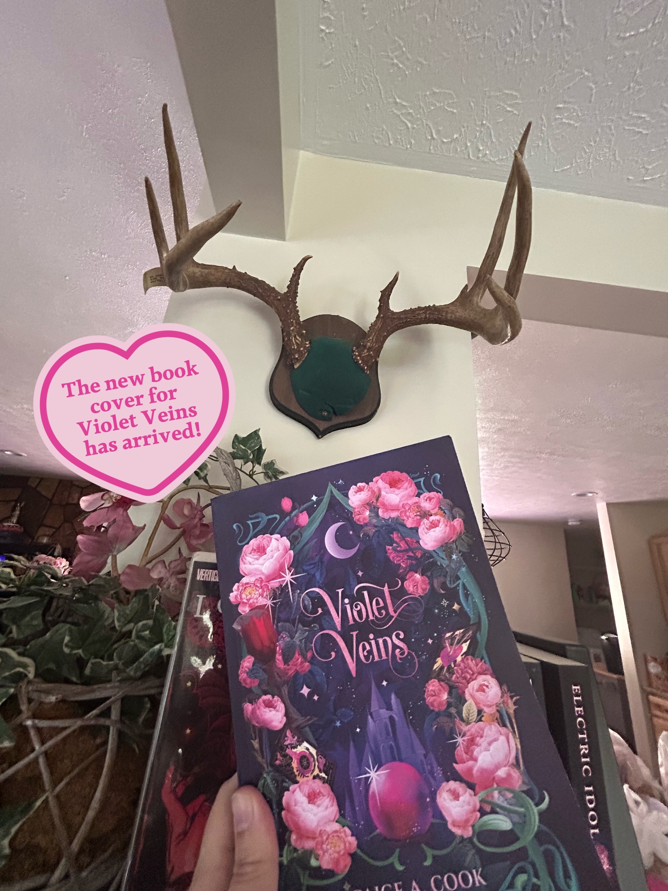 @Author Paige A. Cook