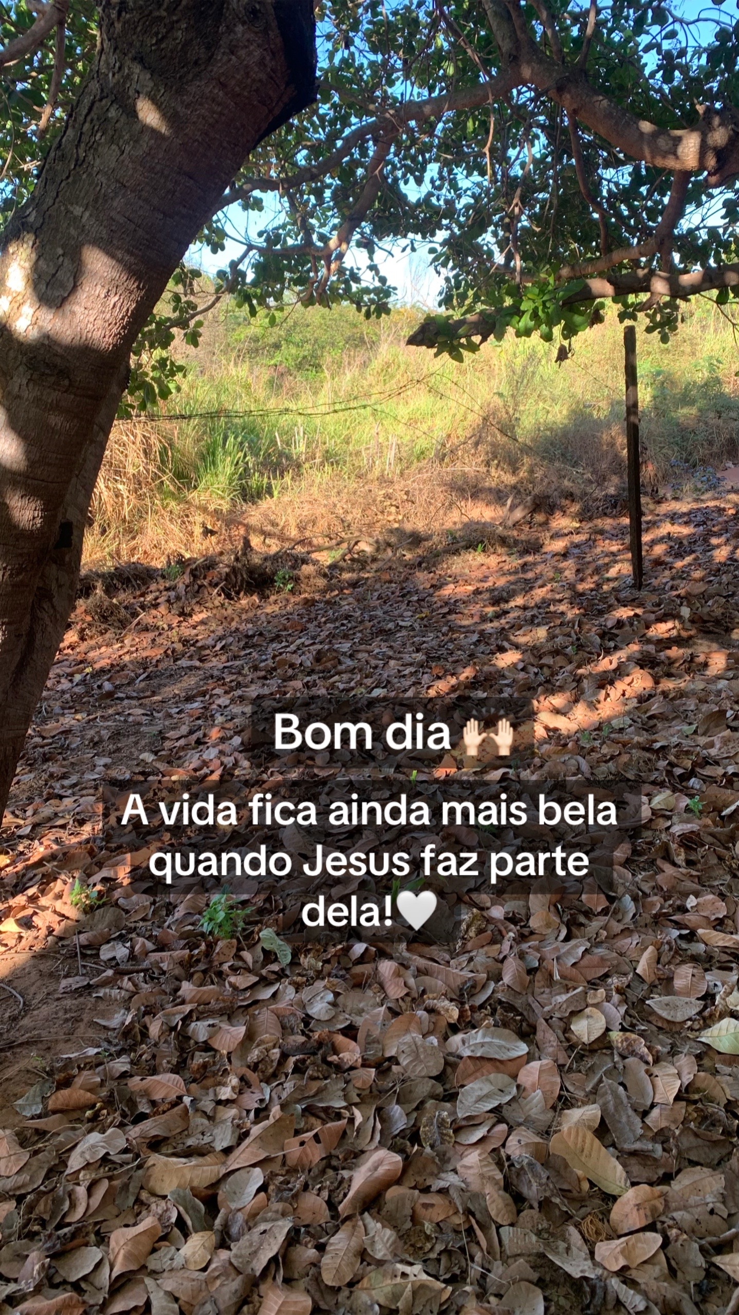 @Entre Laços
