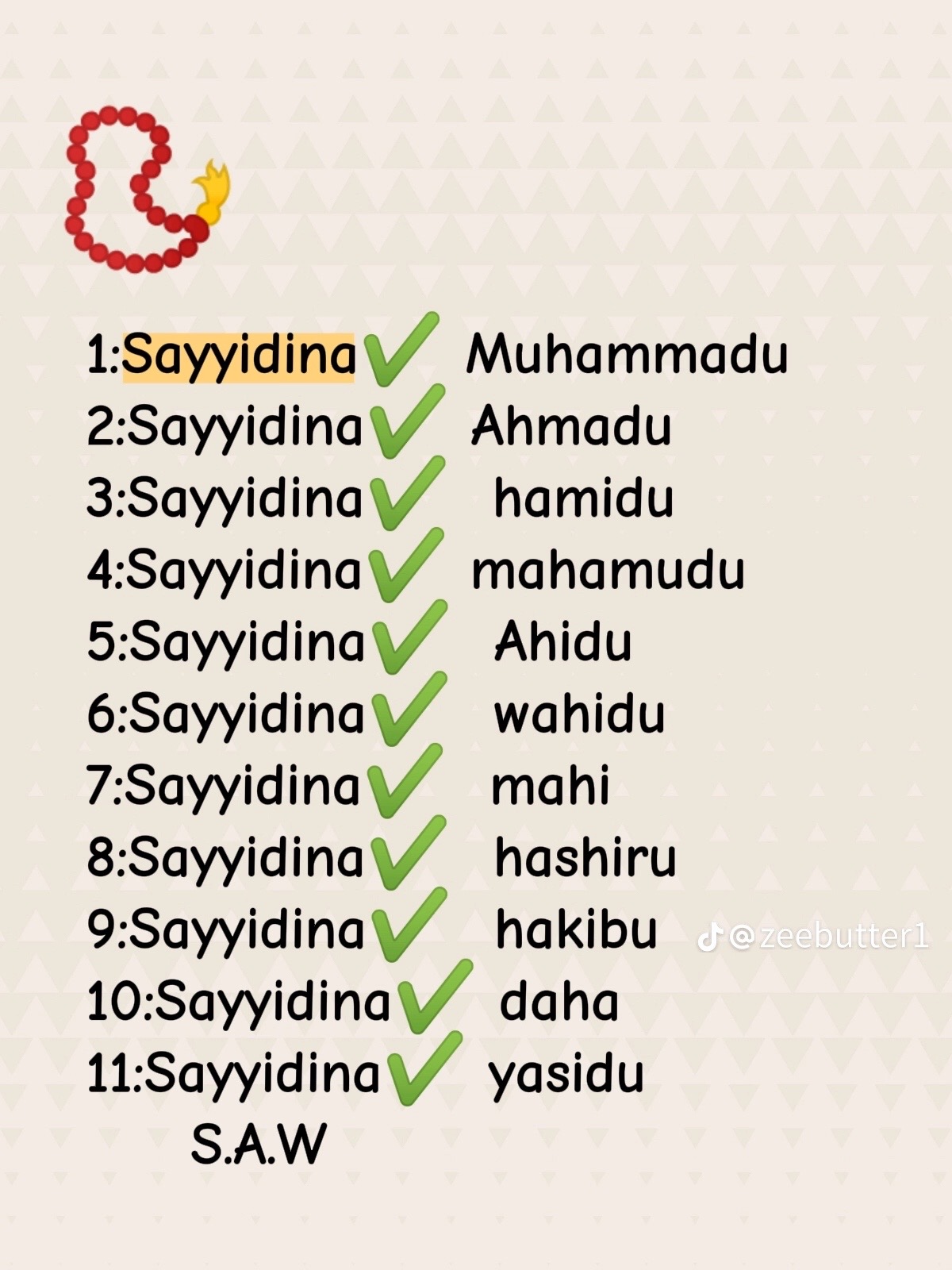 @munnirmusbahu28@
