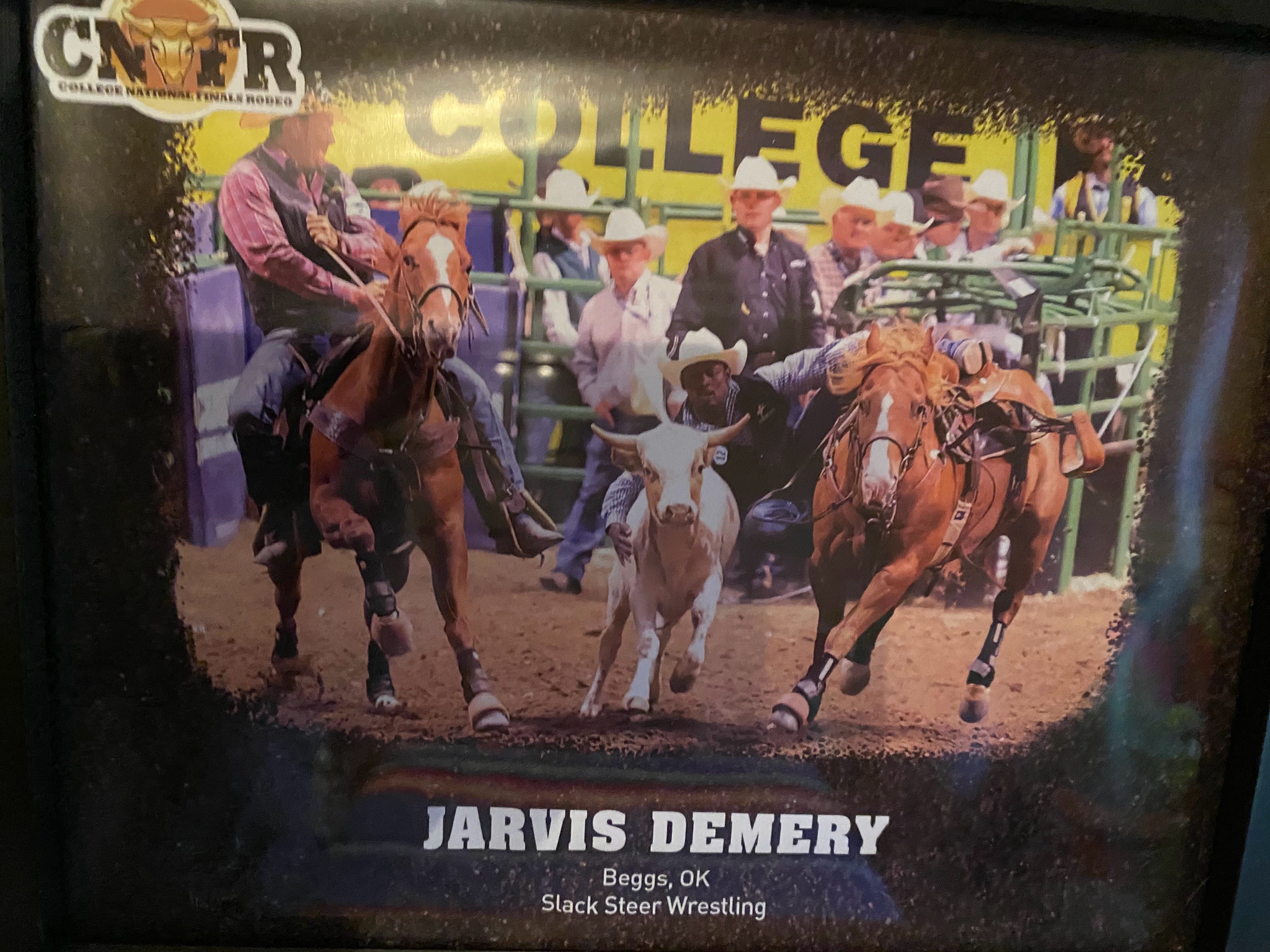 @Jarvis Demery