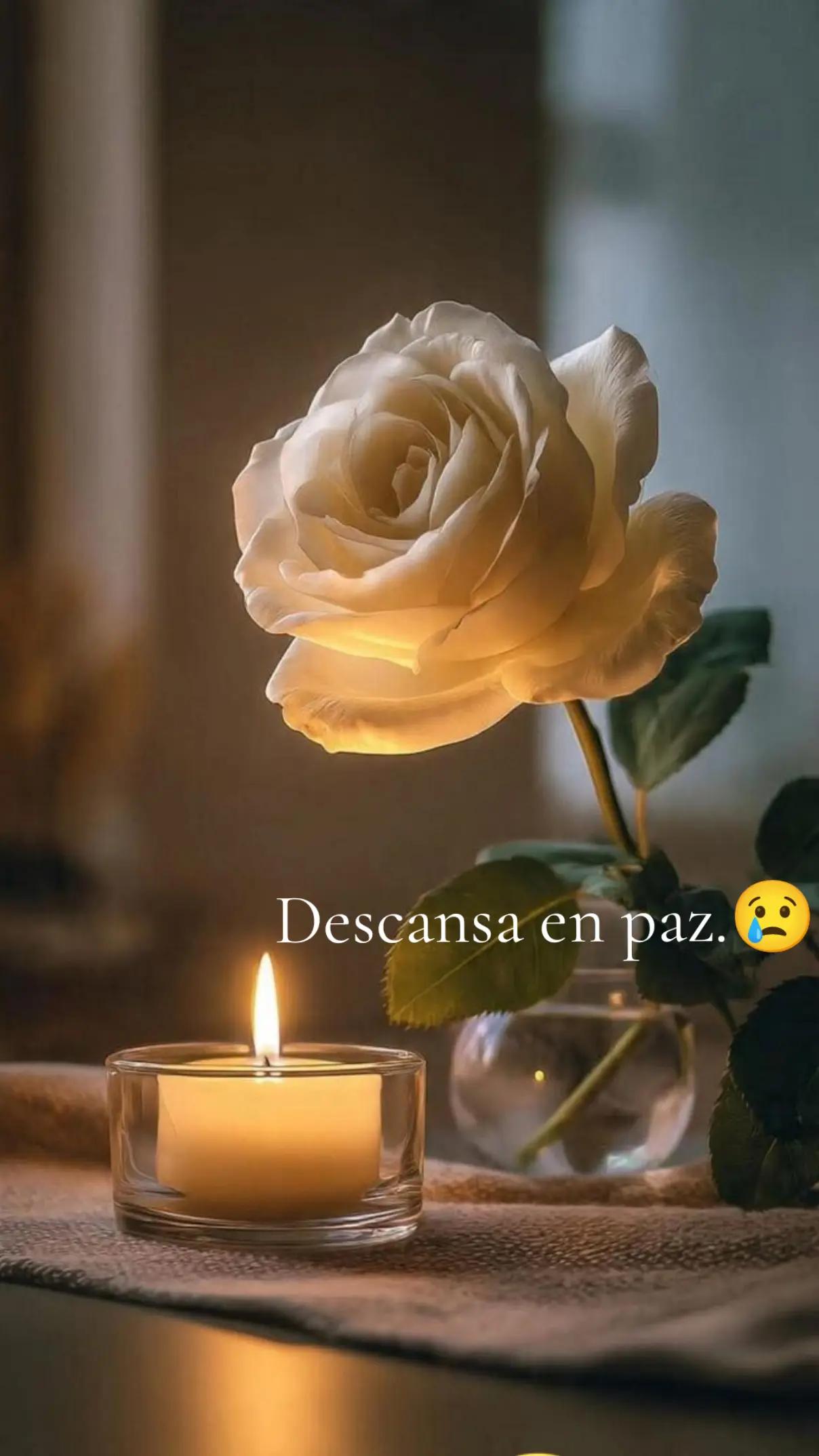 @Lety Pedro