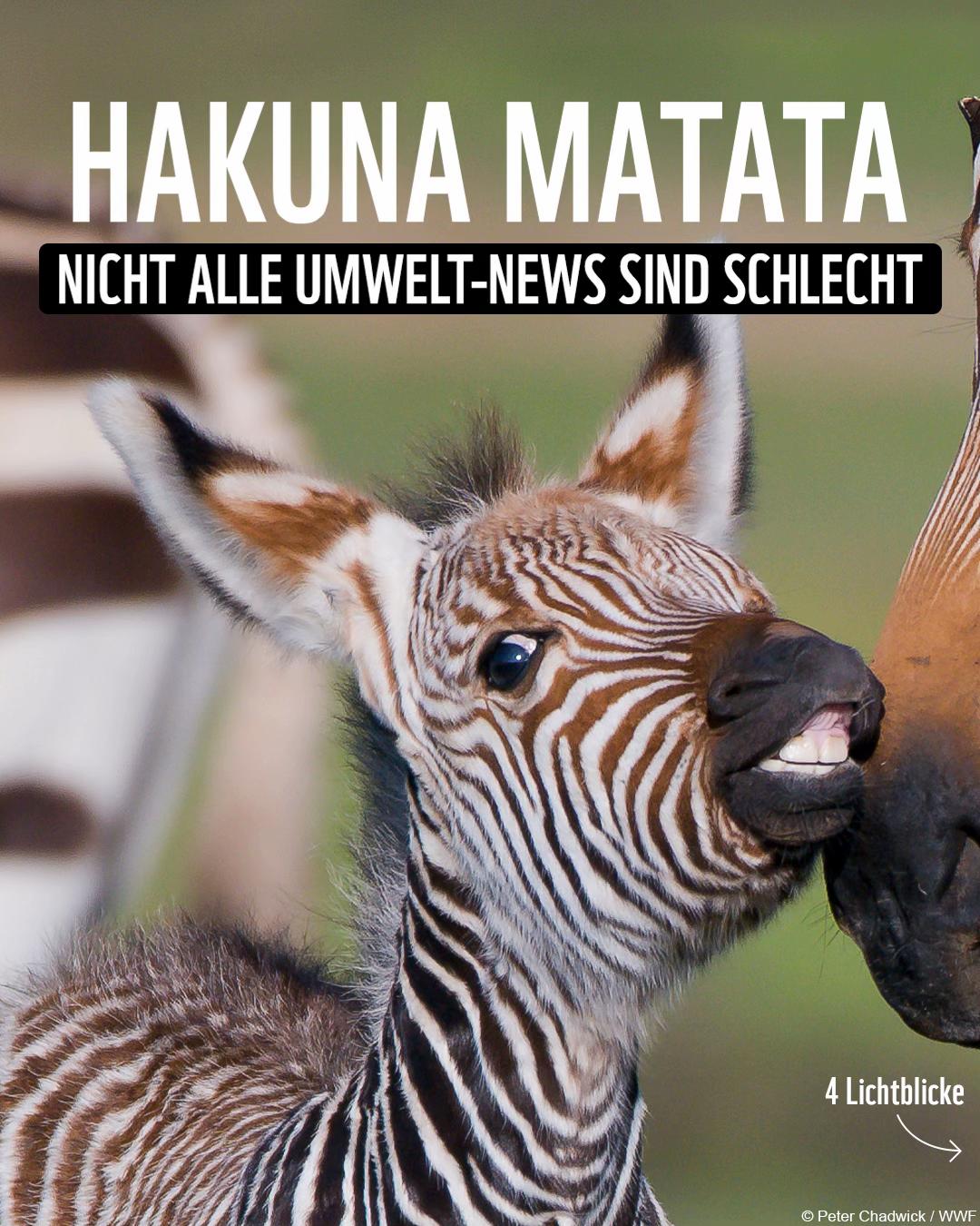@WWF Schweiz