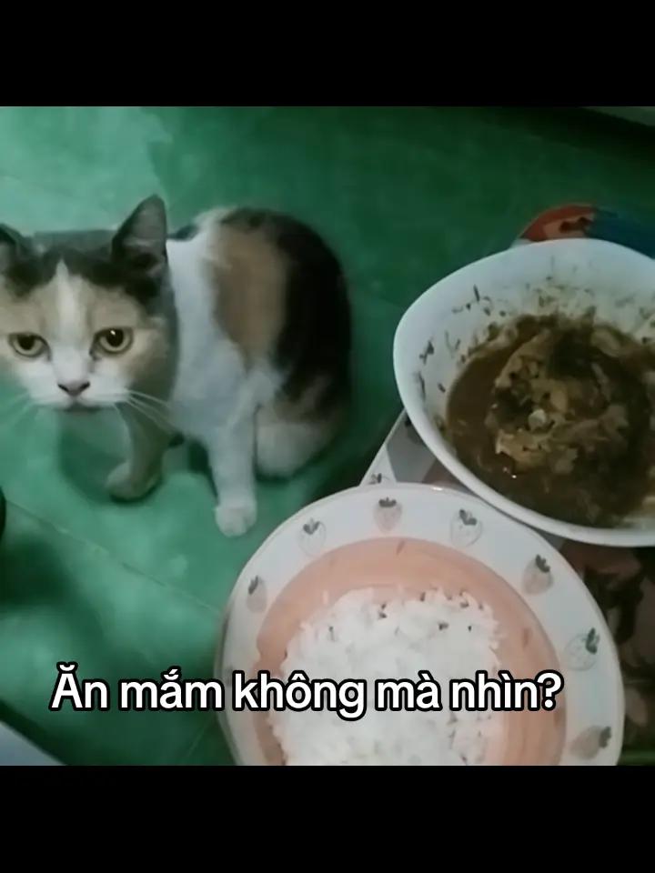 @N&agrave;o gầy đổi t&ecirc;n