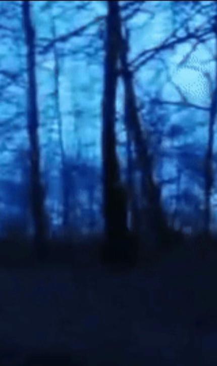 @⦻ Nina the killer ⦻