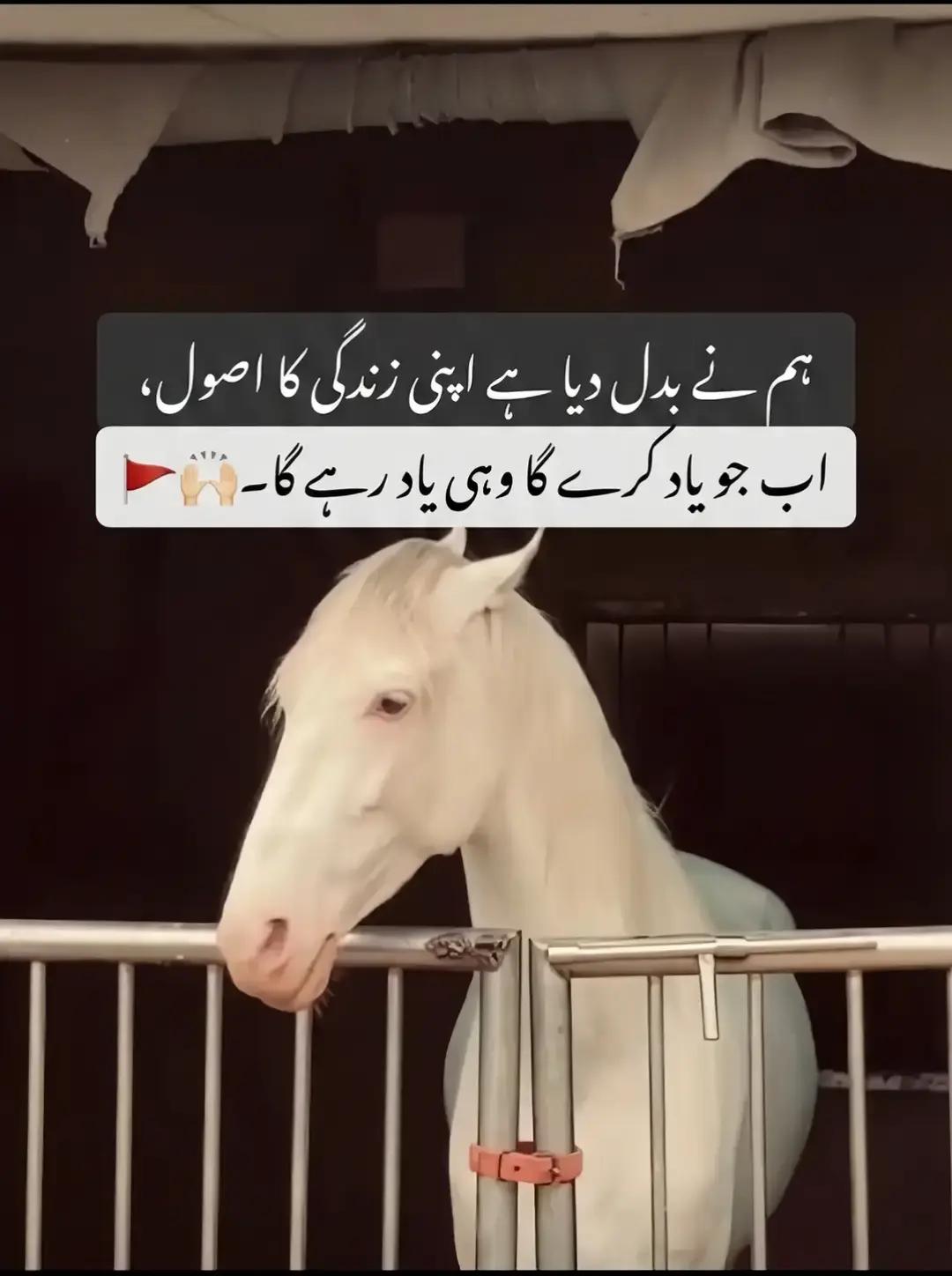 @AB Shah🥷🏾