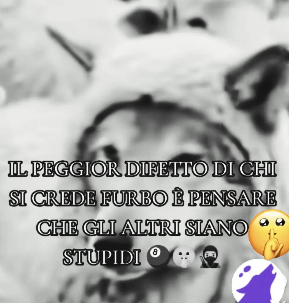 @NinettaBagarella