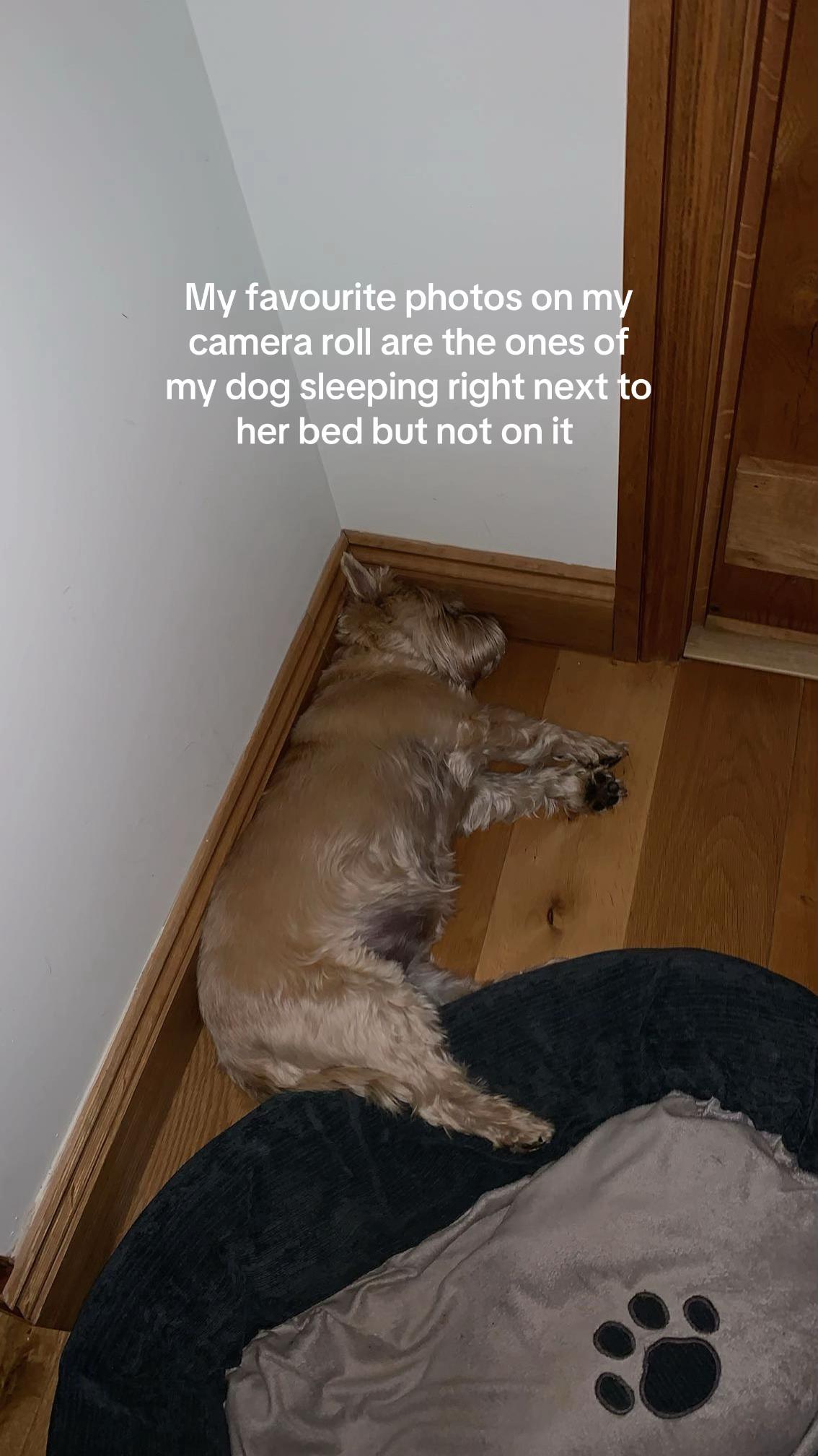 @georgia25222