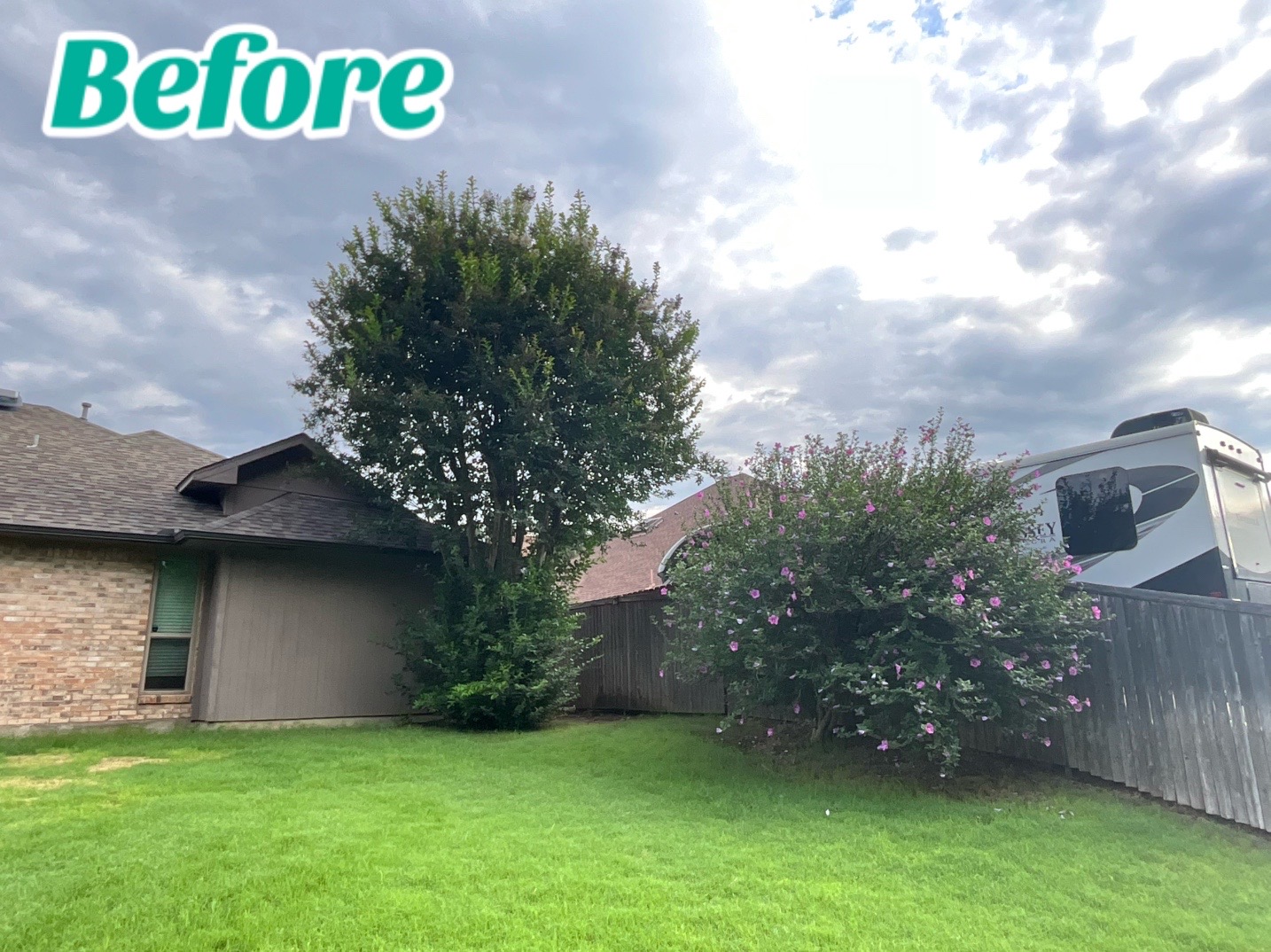 @Live Oak Tree Service
