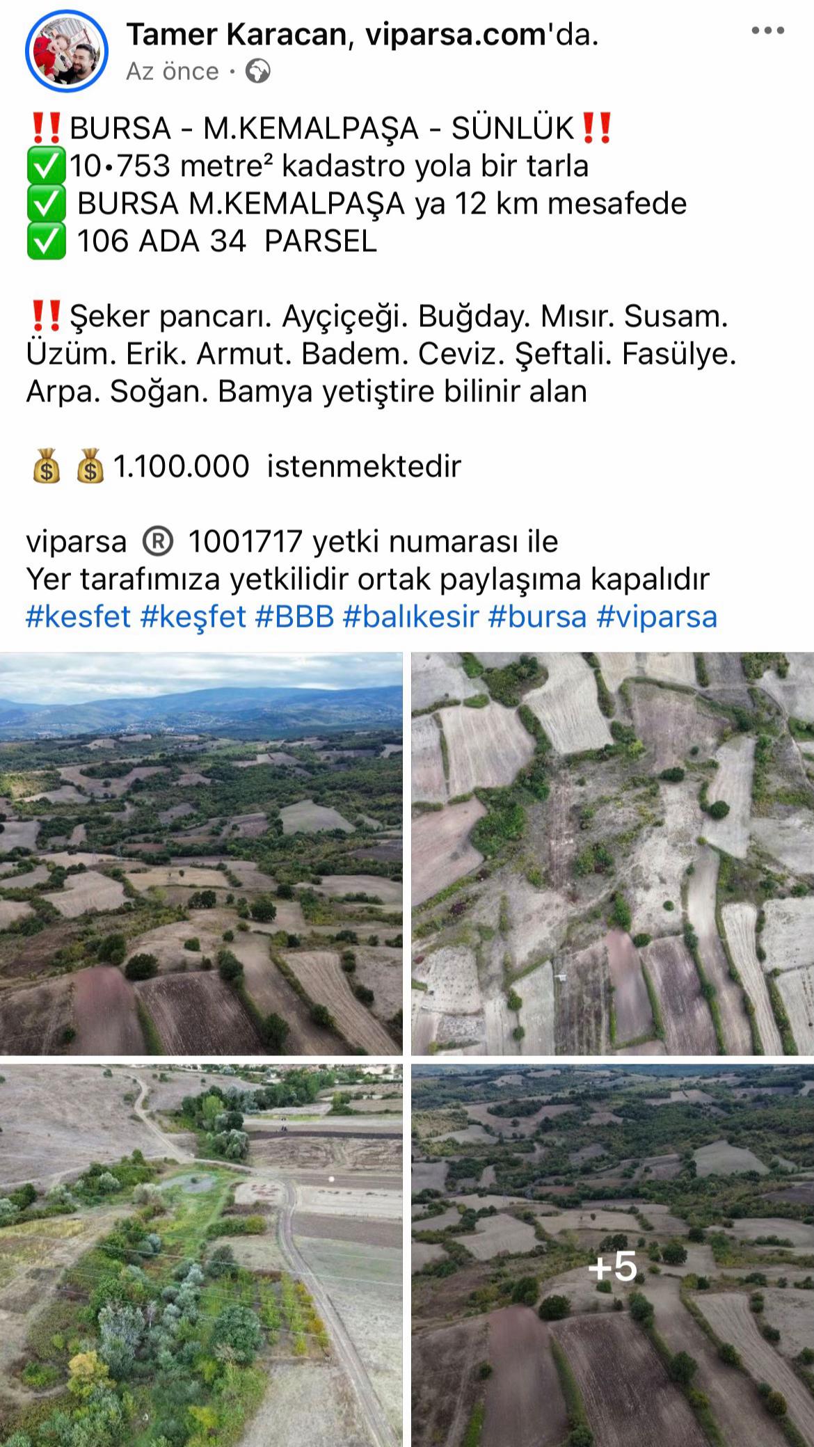 @viparsa