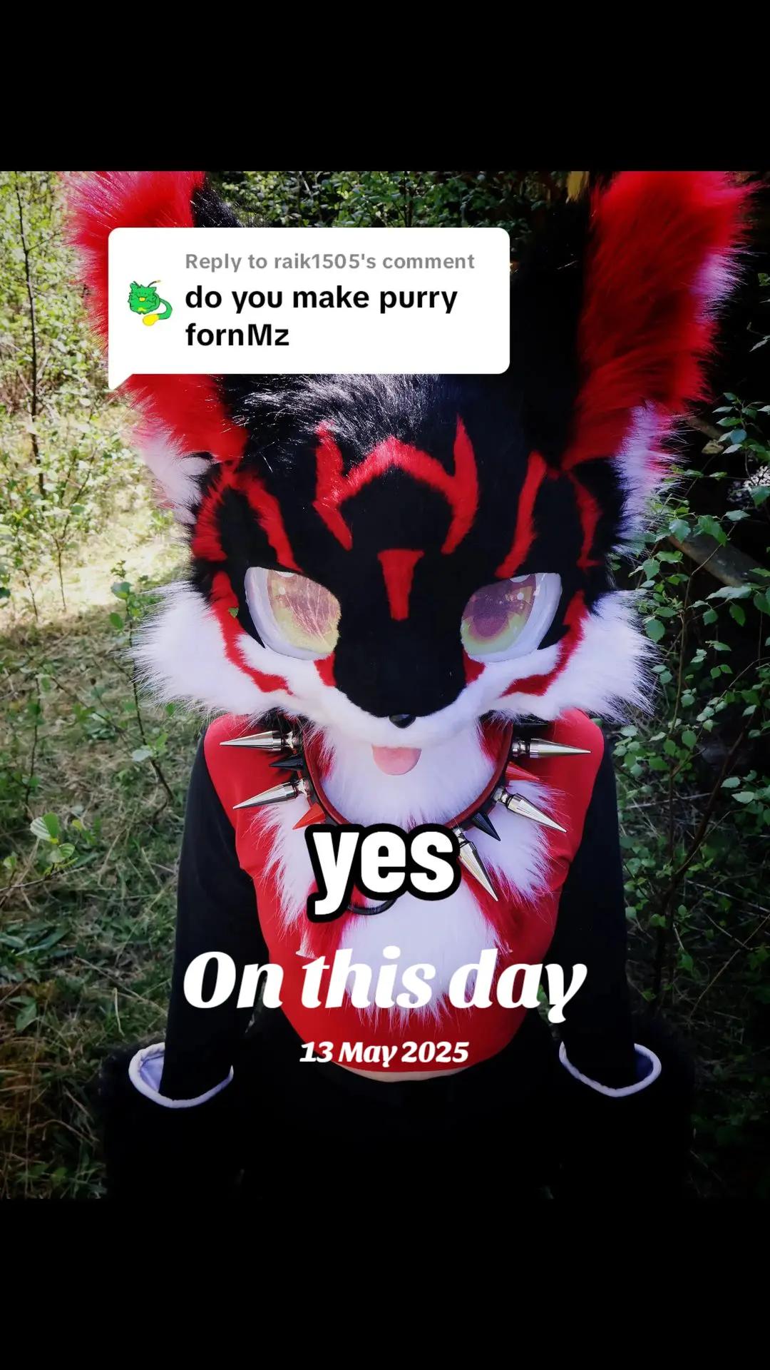 @Bailey (lilpixiekitten)