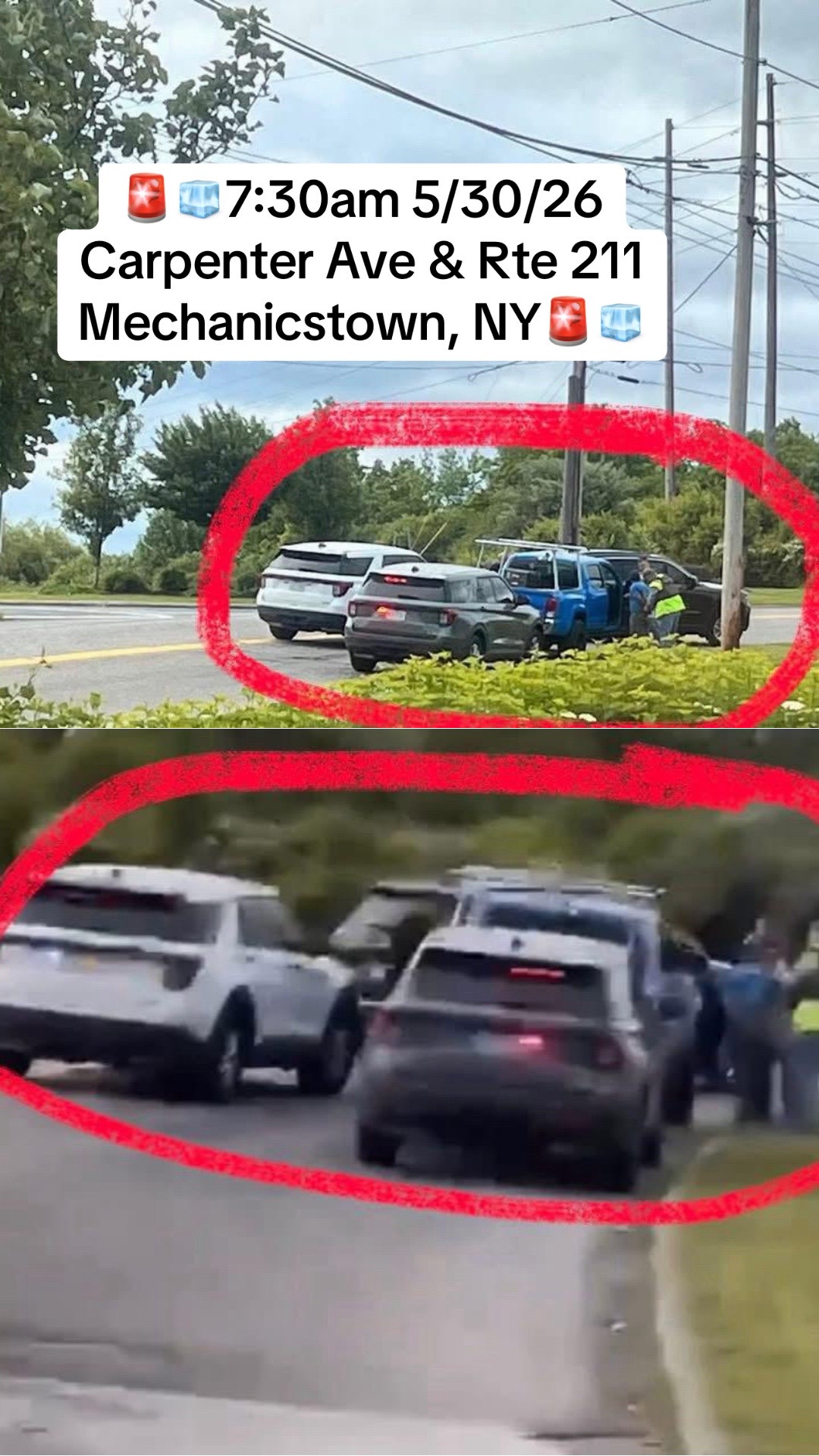 @Salvadore&ntilde;os NY