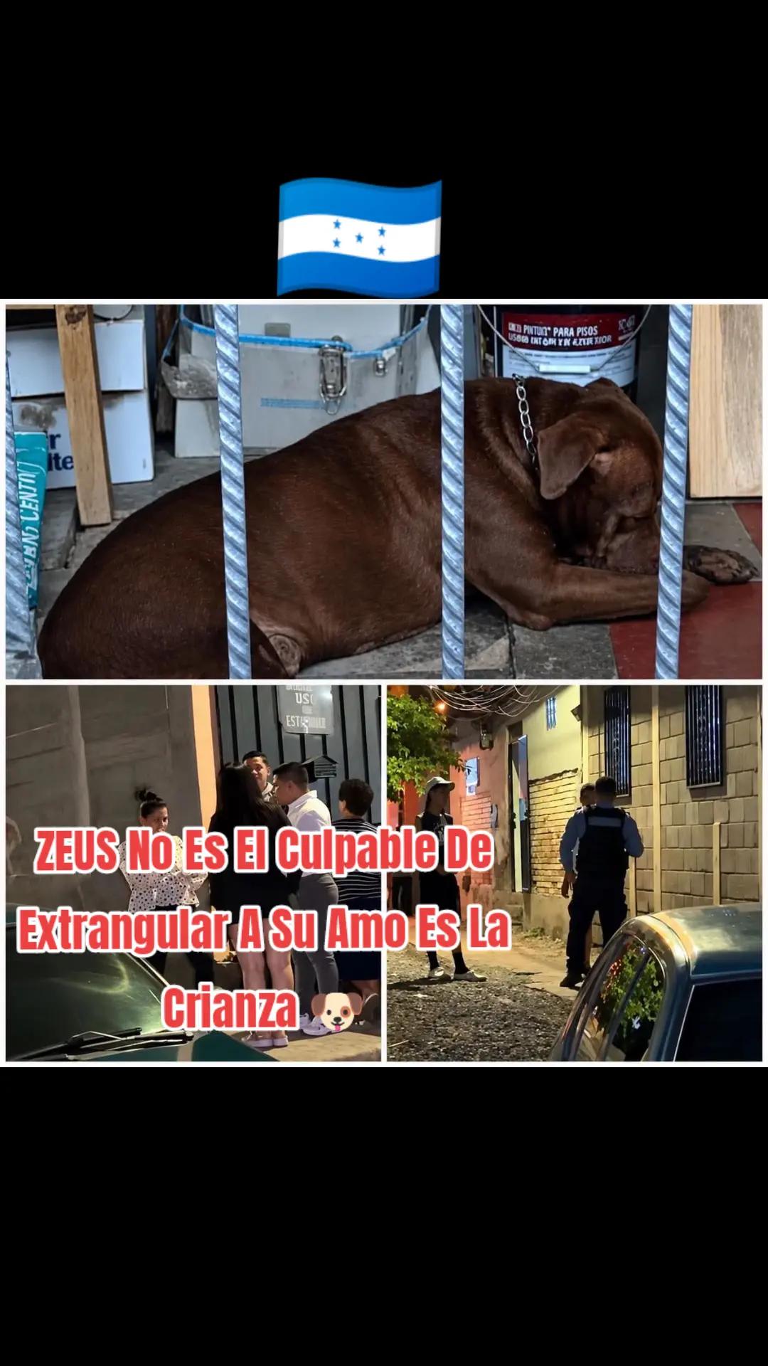 @Santy S&aacute;nchez HN 🇭🇳🇺🇲🇳🇮