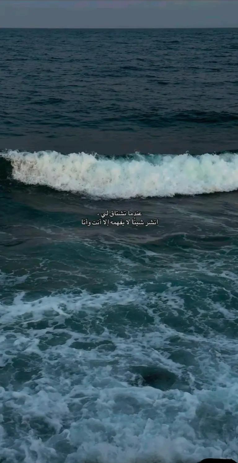 @دحــــوم 🐅🇸🇦🇸🇾