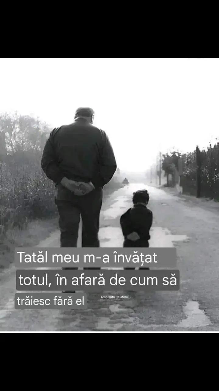 @user161856246384