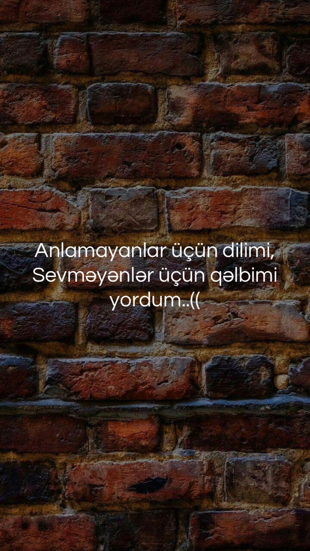 @musiqi_qidasi