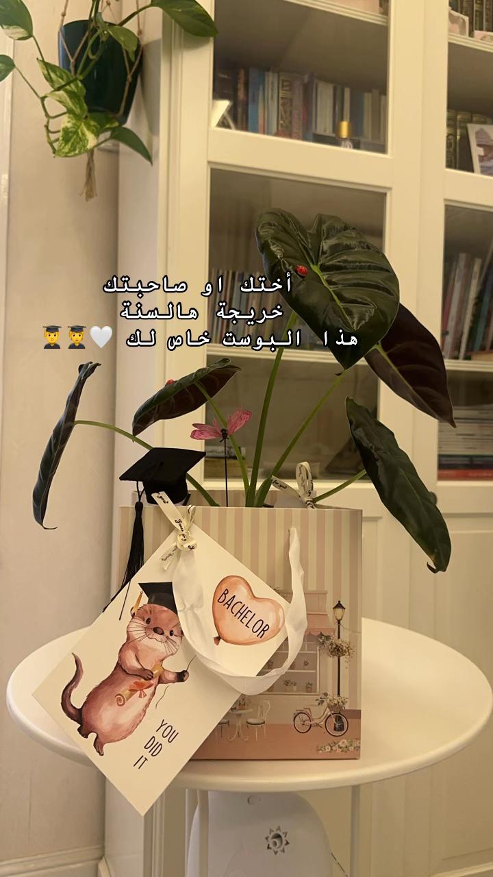 @لوسيـدا-الباحة🪴