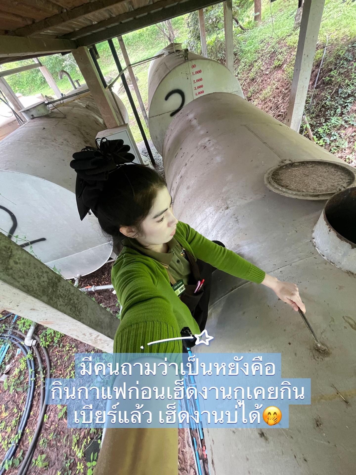 @FB วิชญาพร บุญจอง