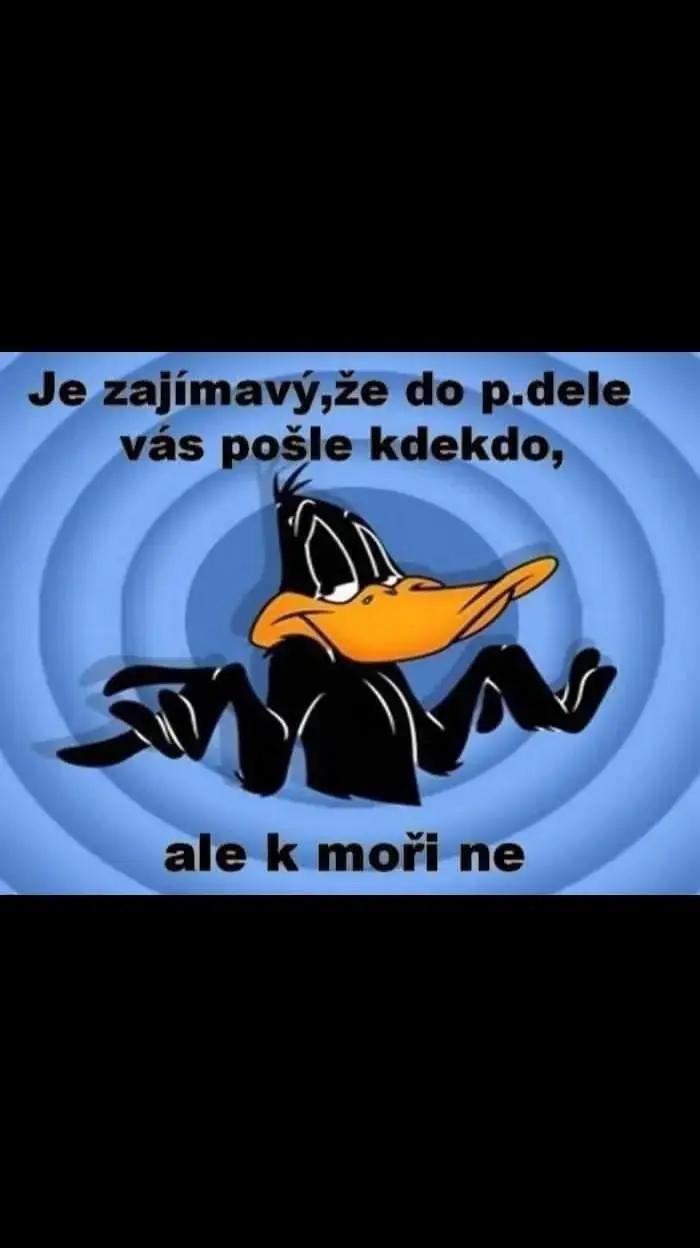 @⚕️Ladislav_official⚕️