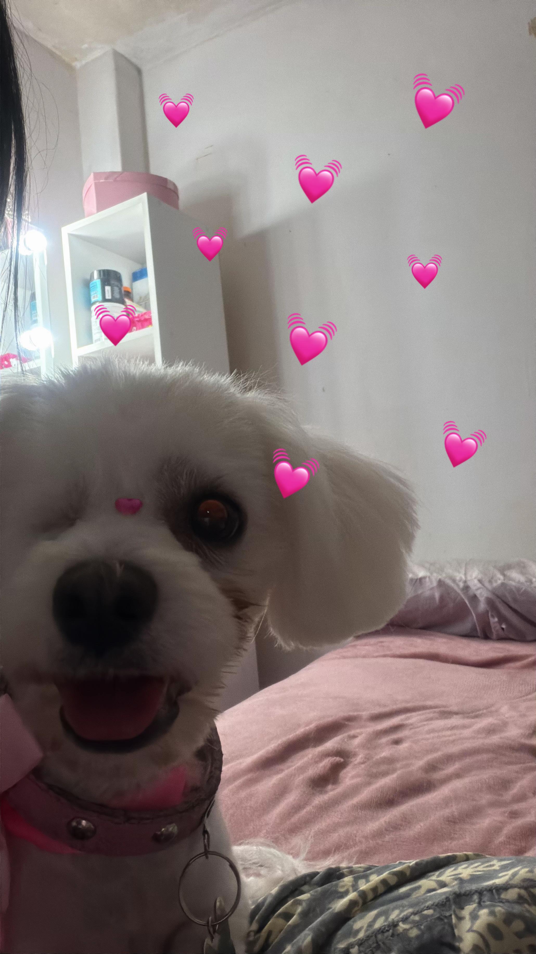 @Oriana 🧉