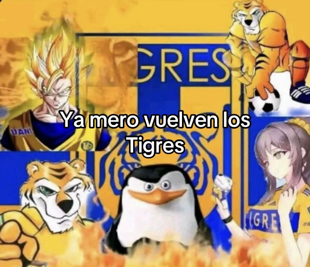 @Club Tigres