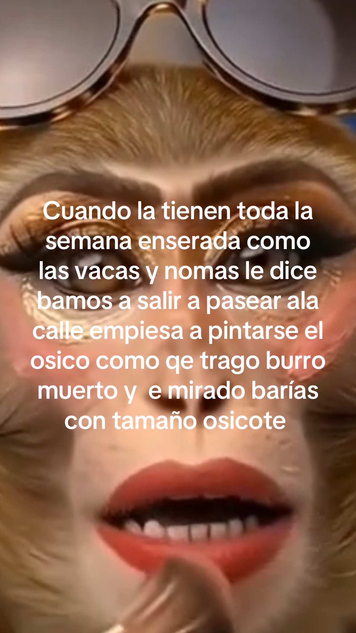 @bbchaparrita3