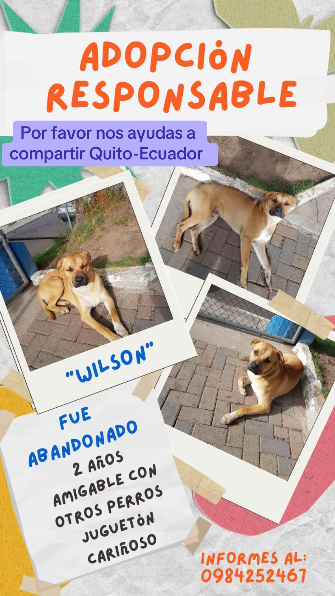 @Moncho_na_na