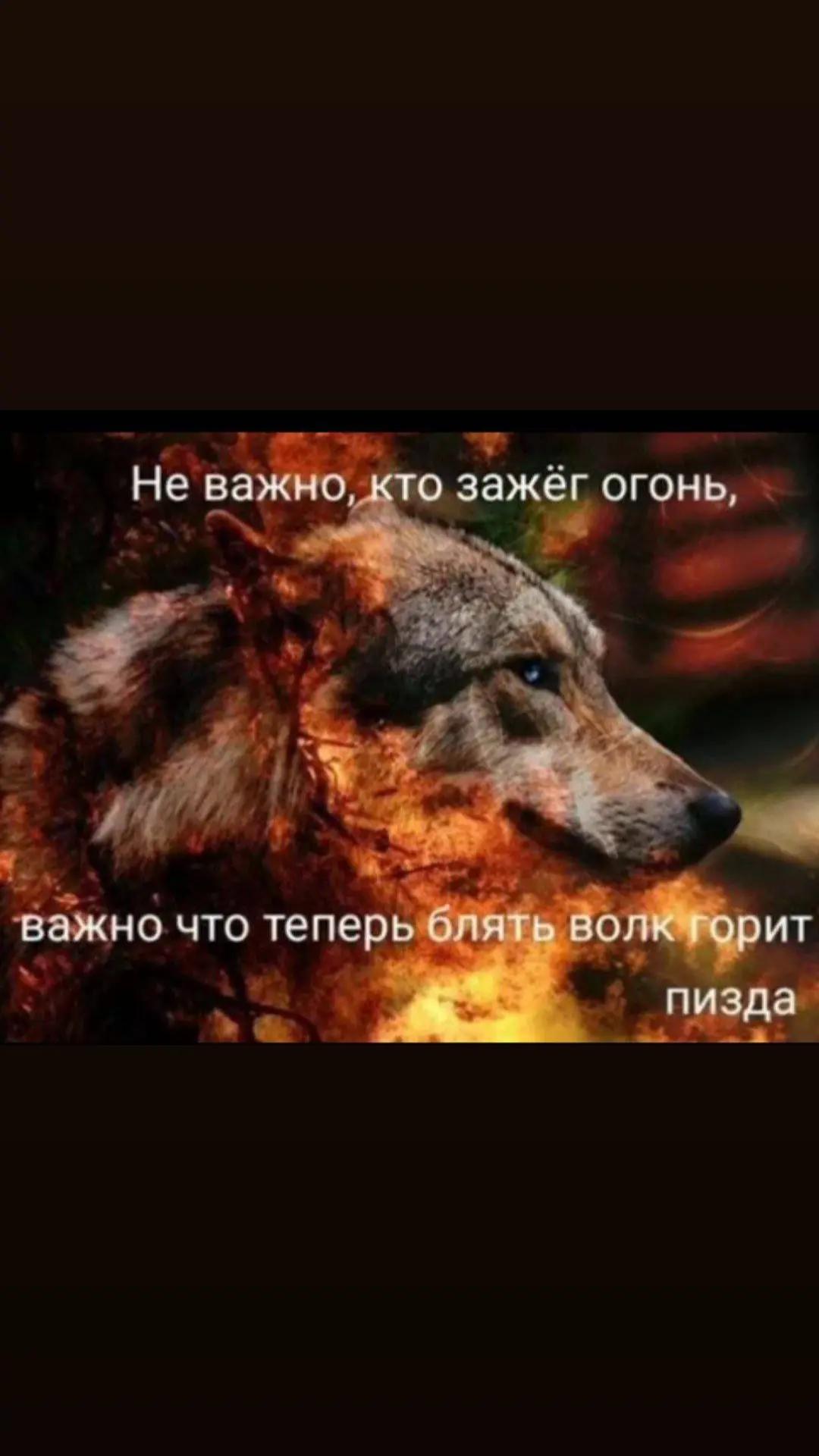 @zardsg