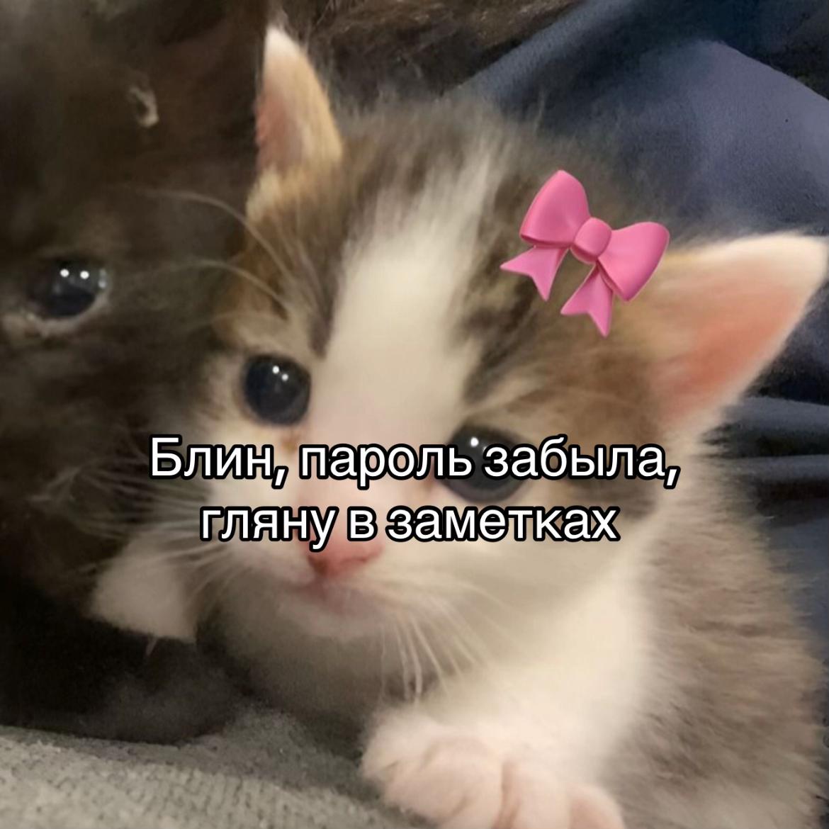 @ᴠɪʀʀᴀɴ
