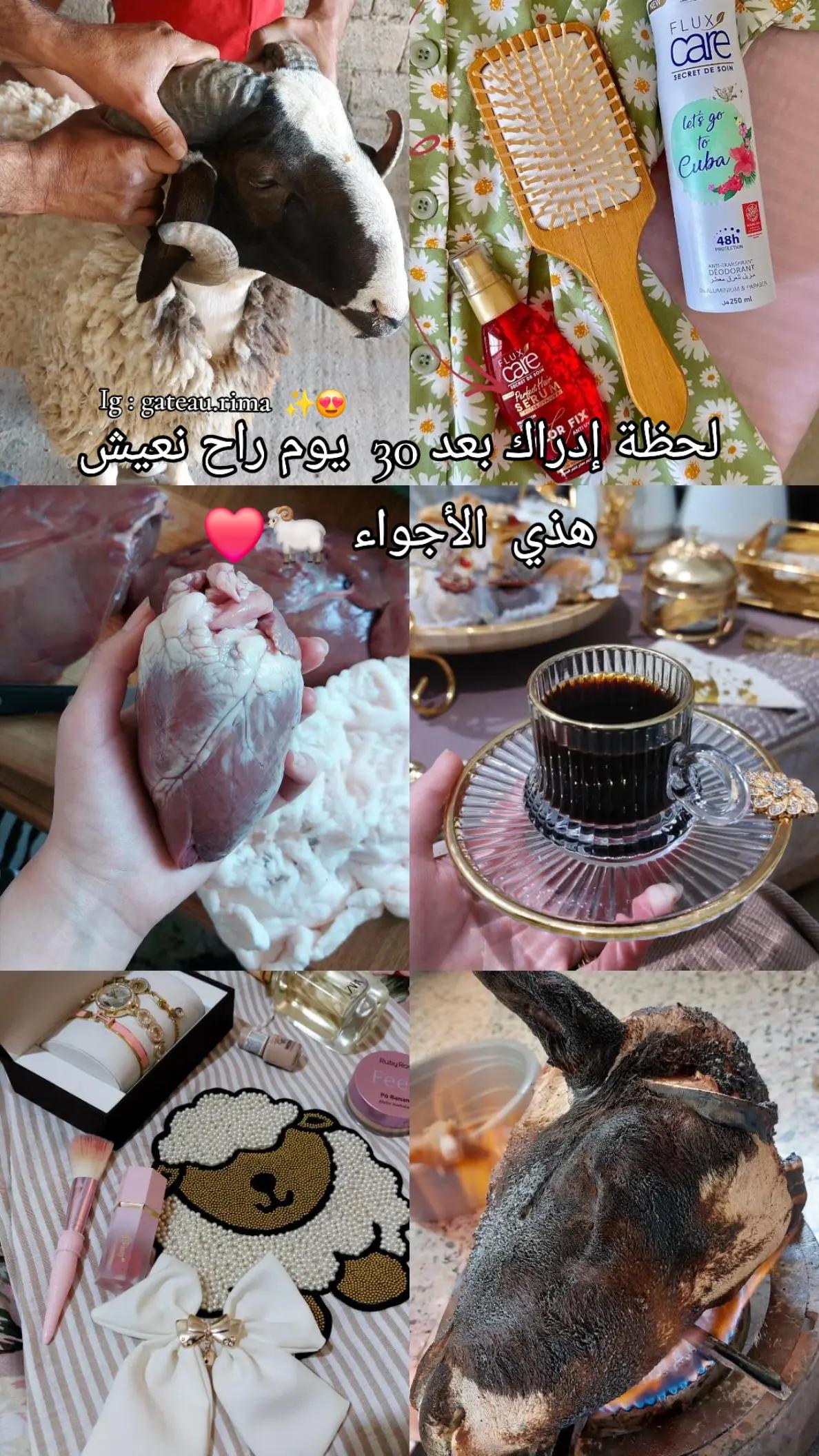 @gateau.rima