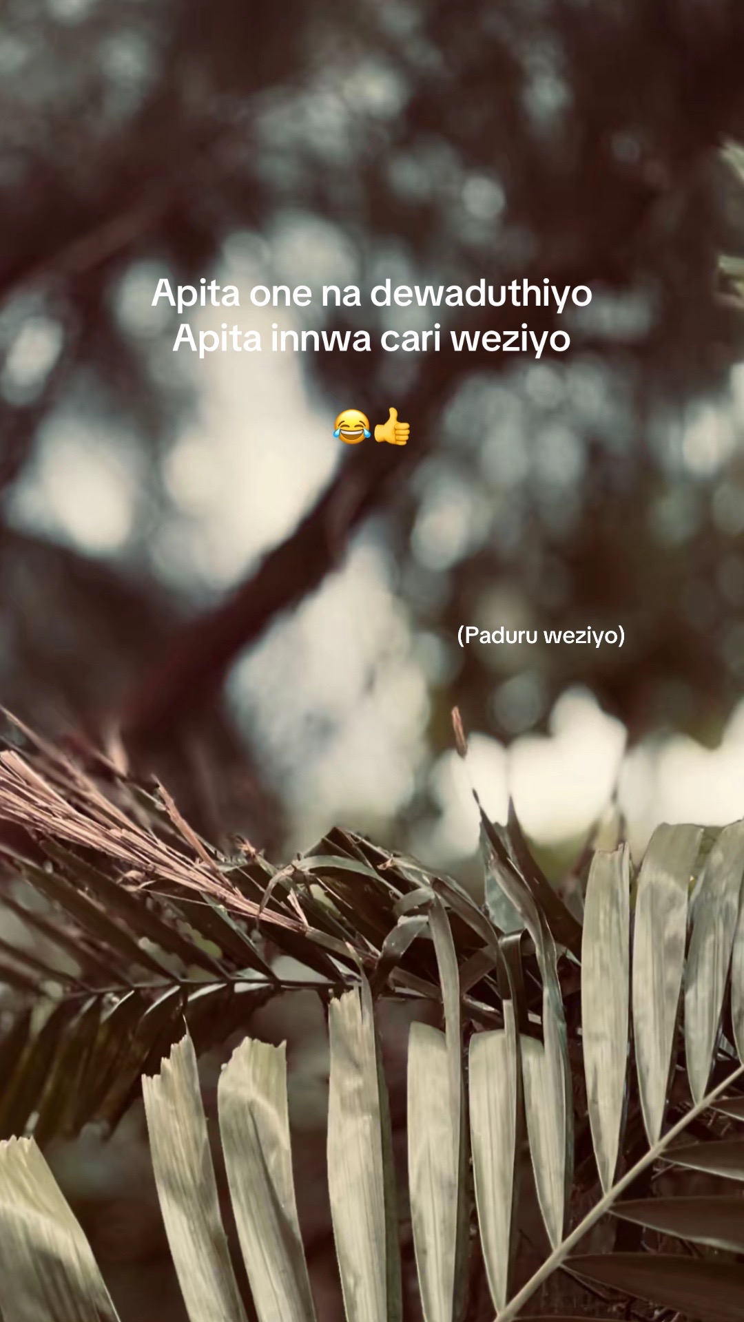 @වදන් 🗣💀