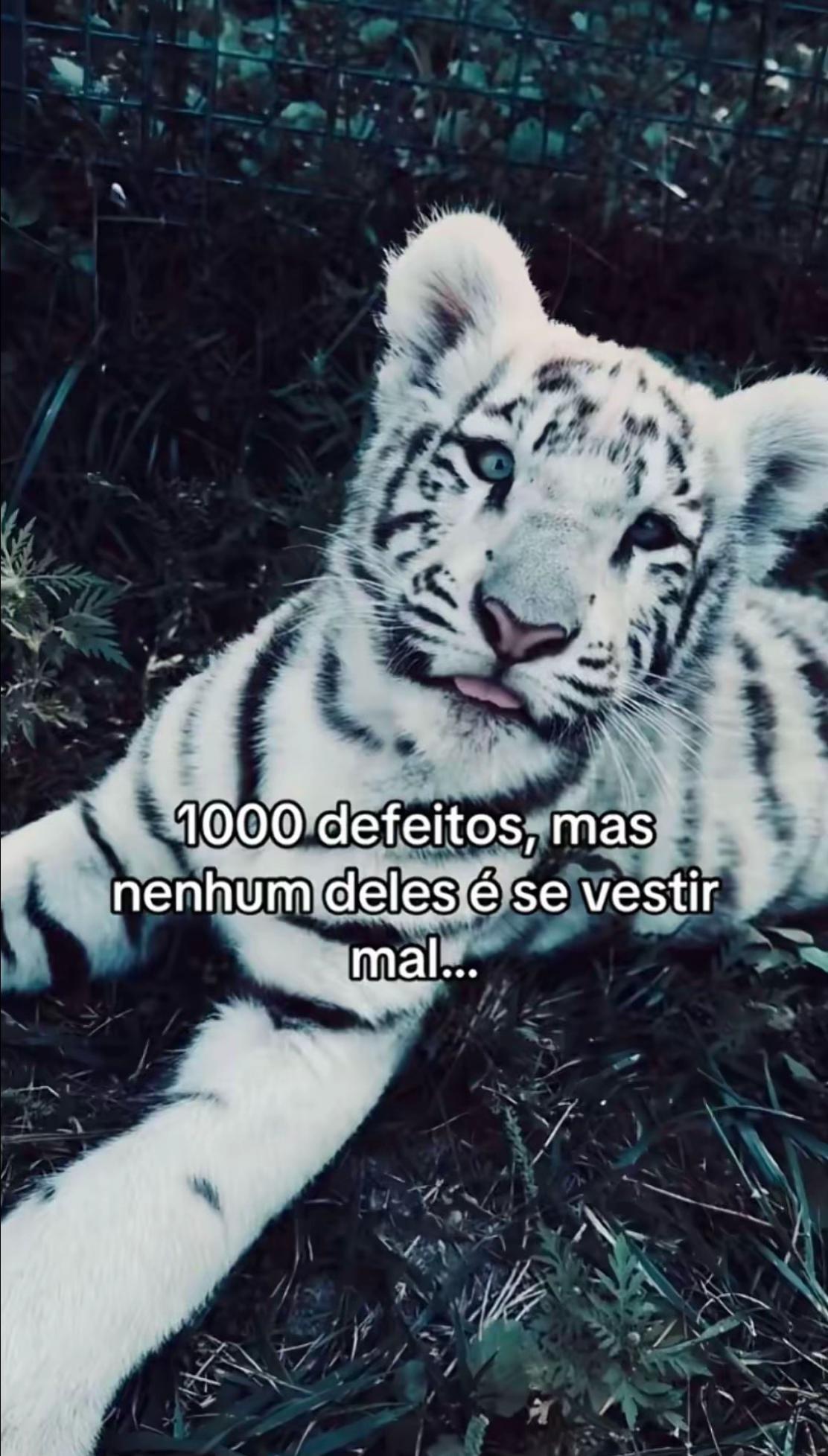 @lyma.46