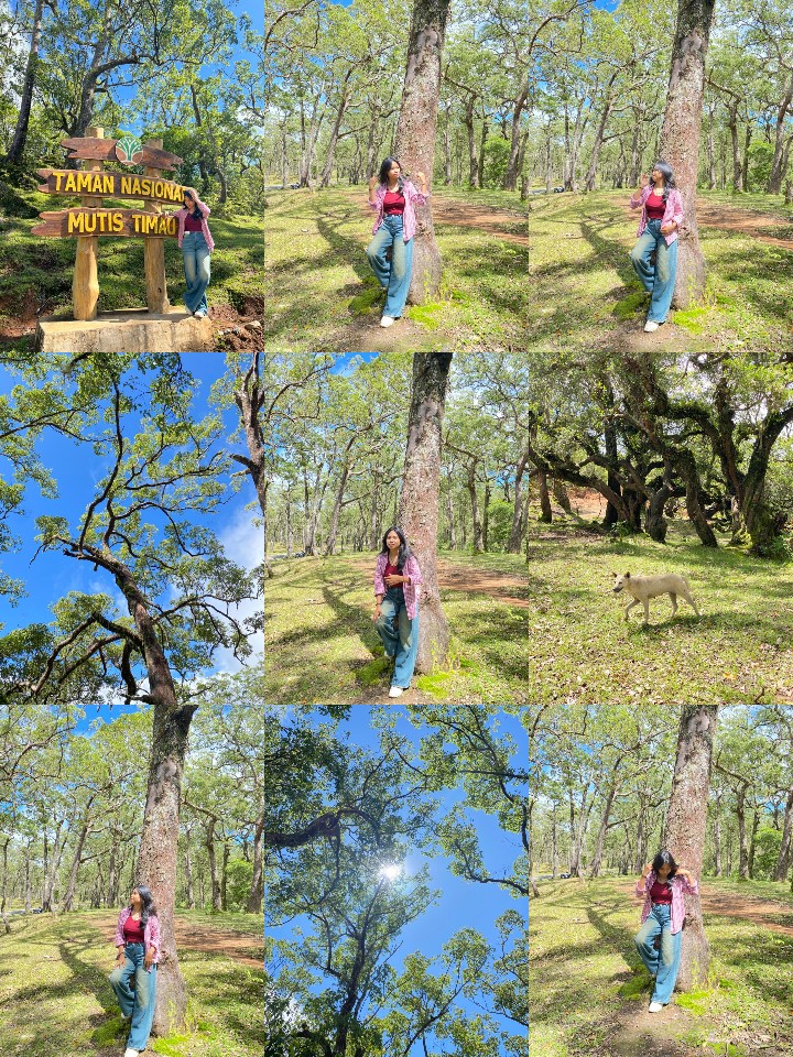 @𝙏𝙞𝙩𝙞𝙣 🦋