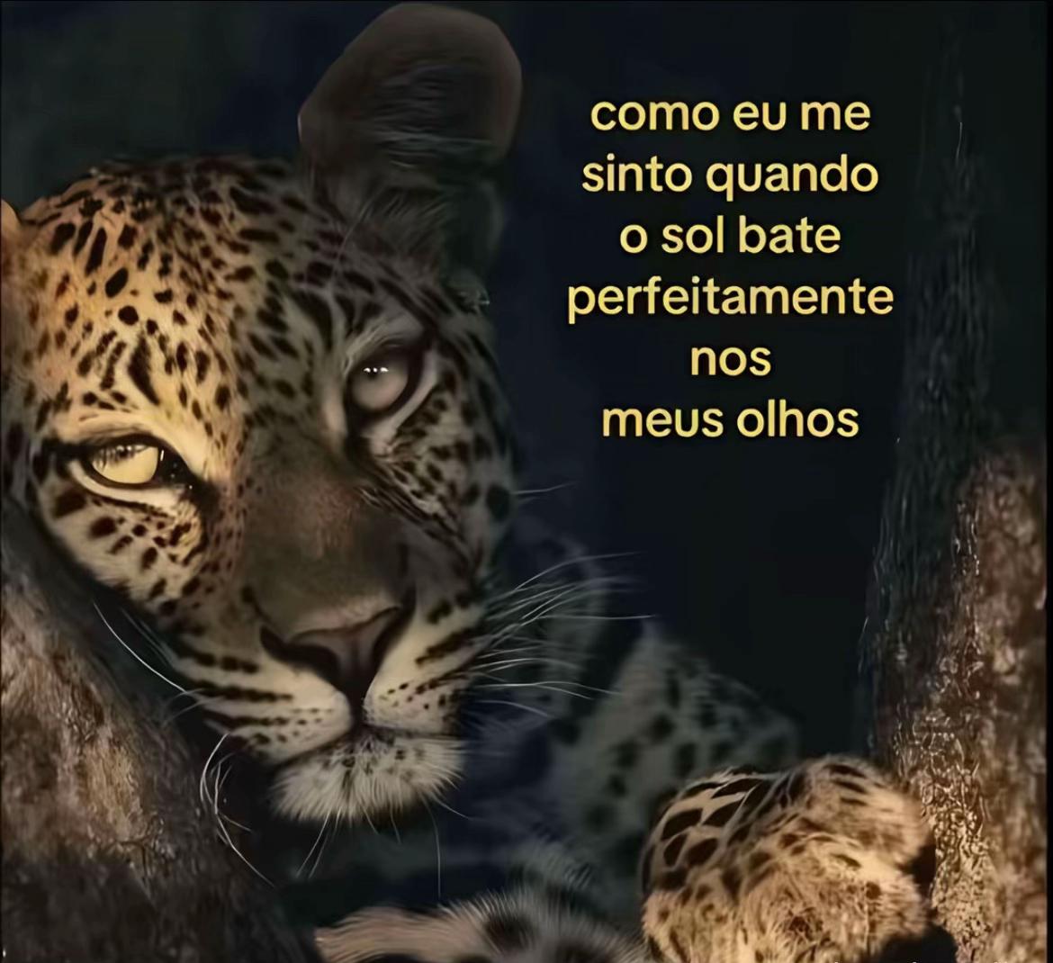 @clarinhaa__18