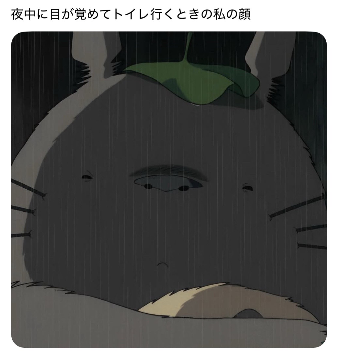 @๐ฉ๐ค๐ฆ๐๐พ๐๐๐๐๐๐๐๐ฆ๐ค๐ฉ