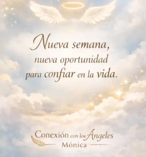 @Monica Gomez Gomez