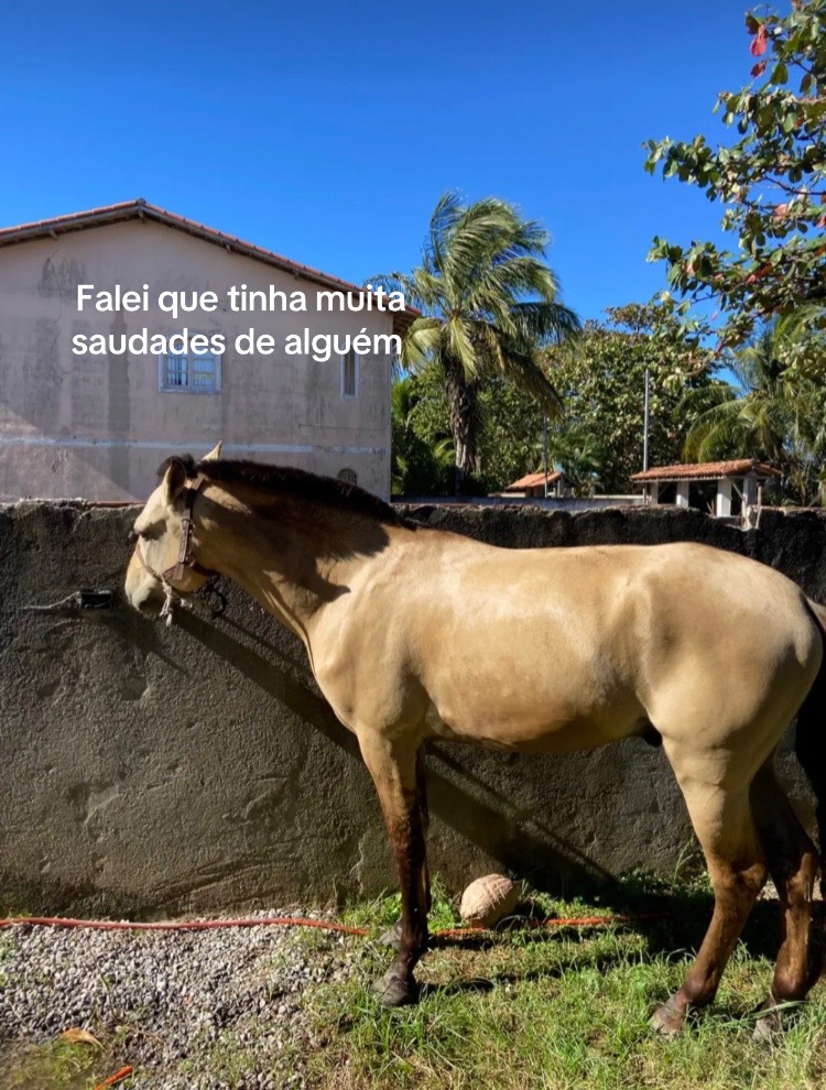 @Pᥱ́r᥆ᥣᥲ ᥱ ᥴᥲριtᥲ̃᥆