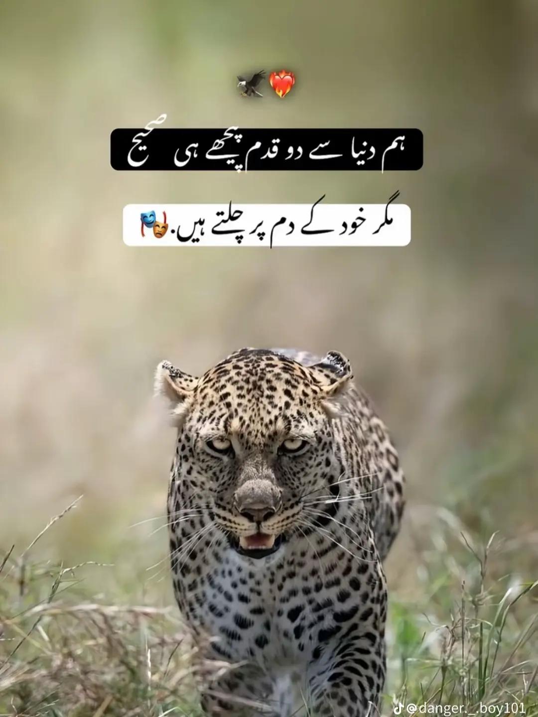 @Zubair Jutt