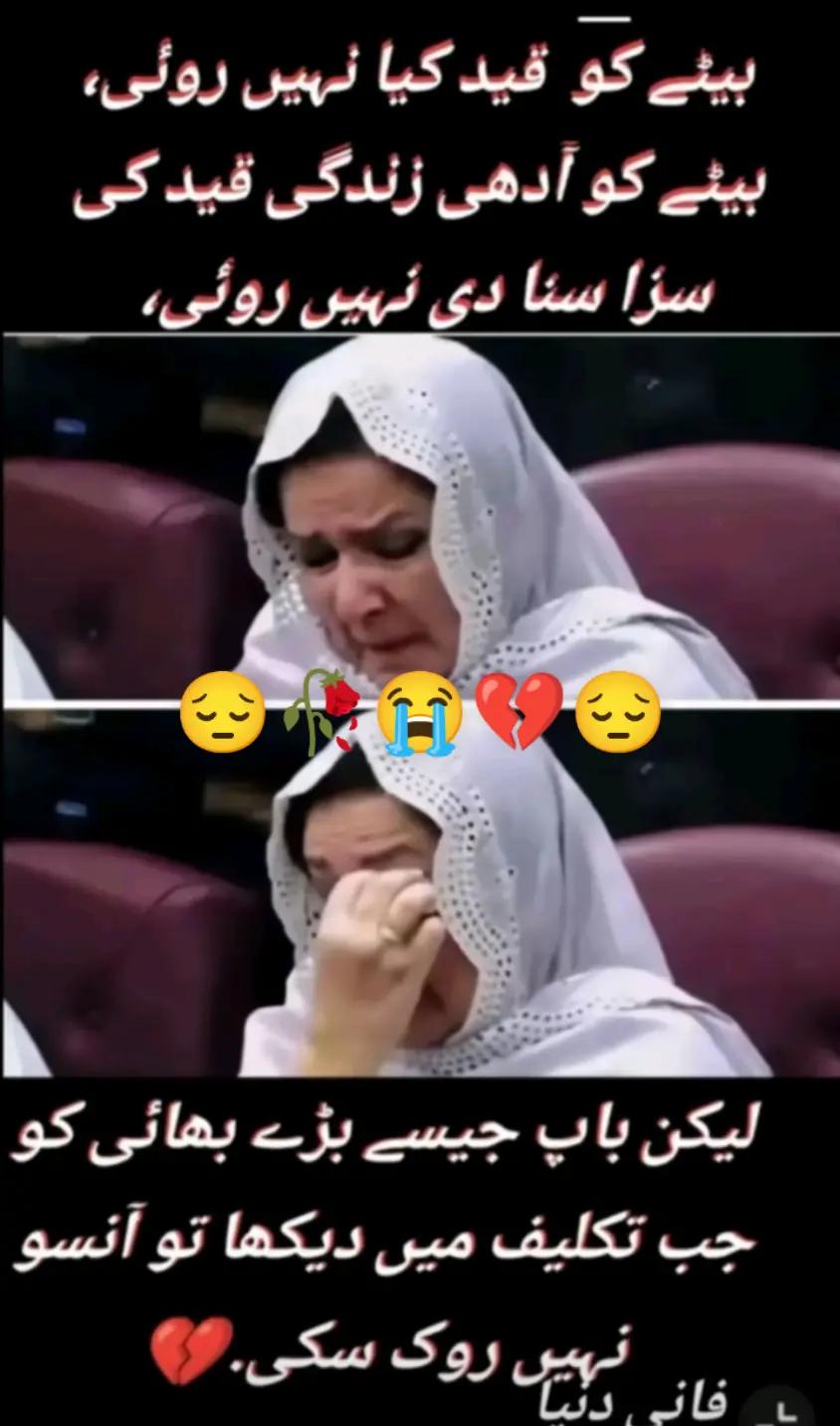 @Hassan Hussain💞